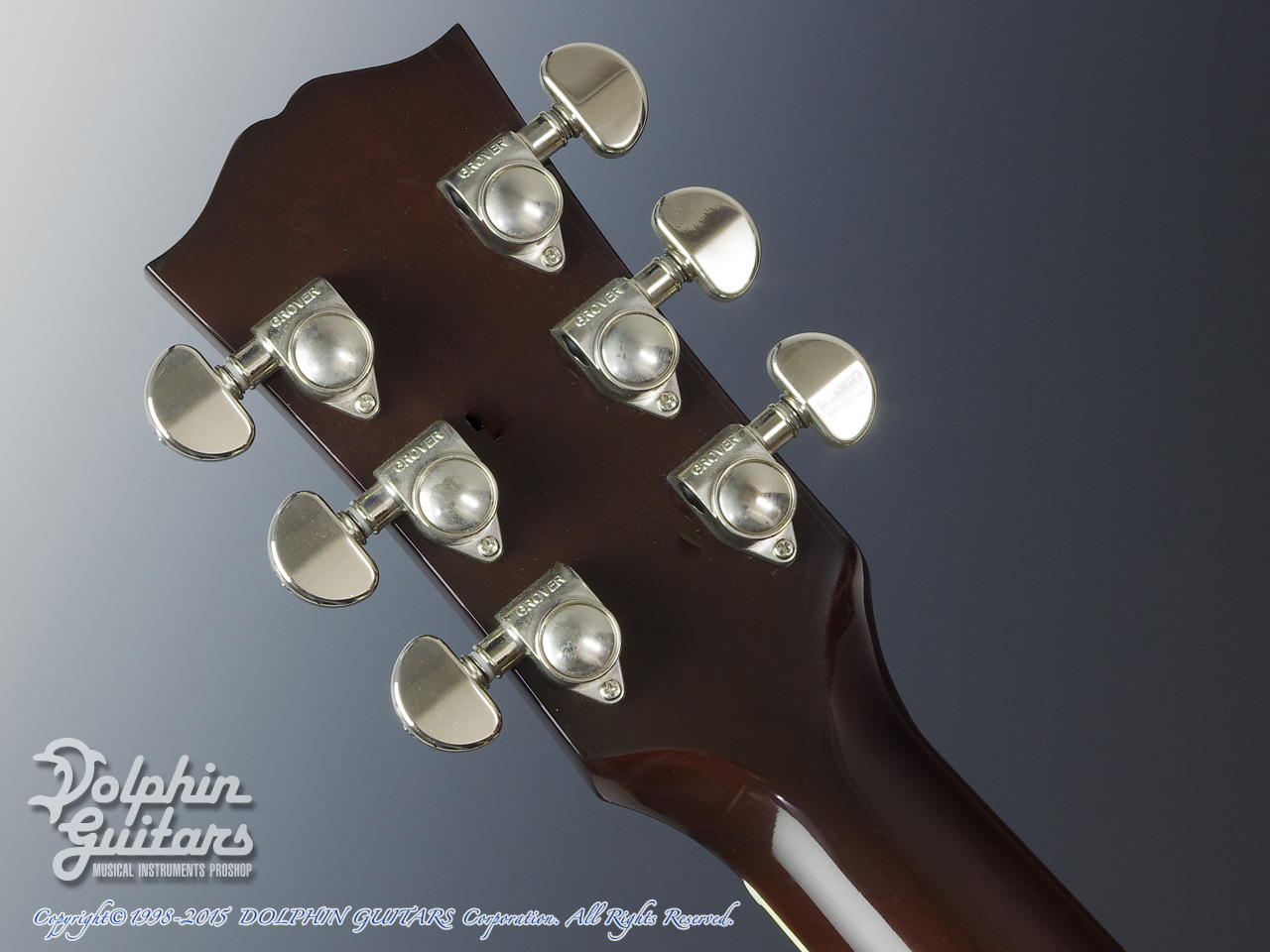 Gibson Hummingbird VS ドルフィンギターズ