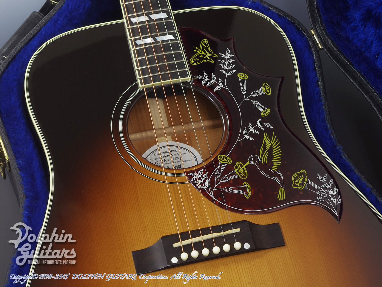 Gibson Hummingbird VS ドルフィンギターズ