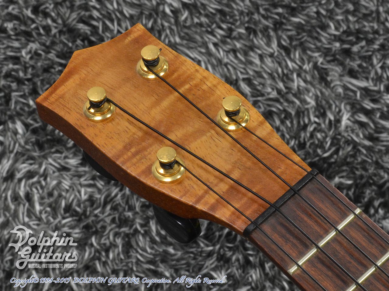 ISLAND KOA Vita Design|ドルフィンギターズ
