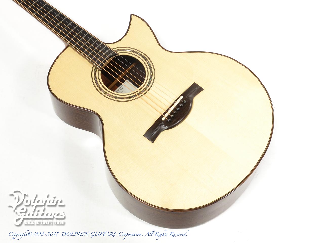 SJ-51 Cutaway (Indian Rosewood)