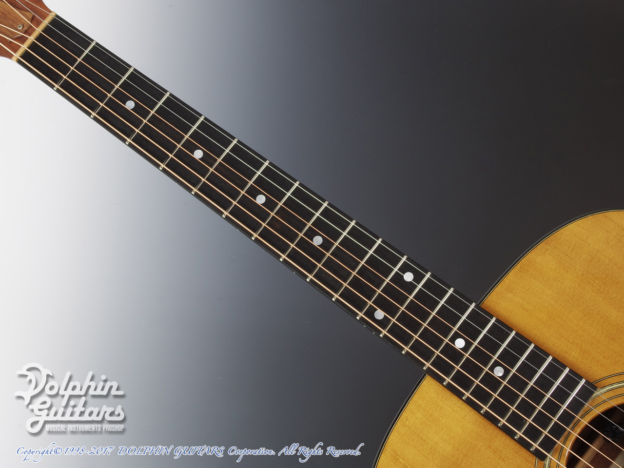 TAYLOR 310 |ドルフィンギターズ