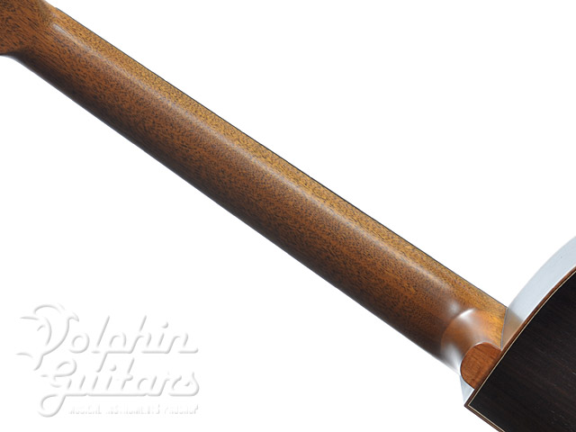 MORRIS S-131M Minamizawa Daisuke Model|ドルフィンギターズ