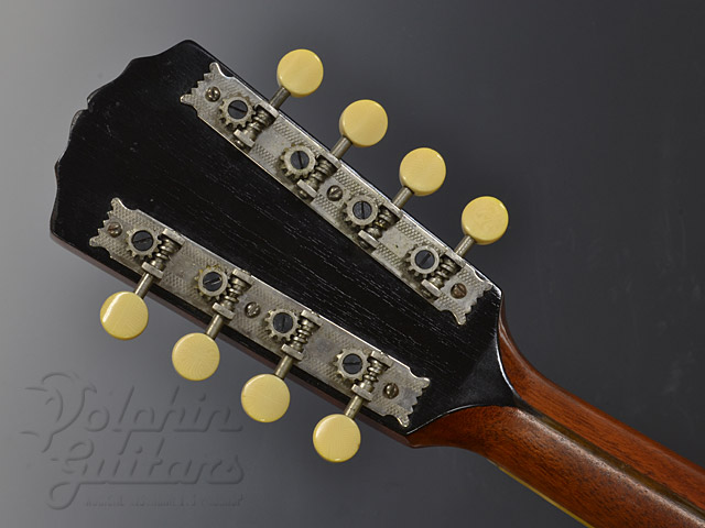 Gibson A-3 “White Face”|ドルフィンギターズ