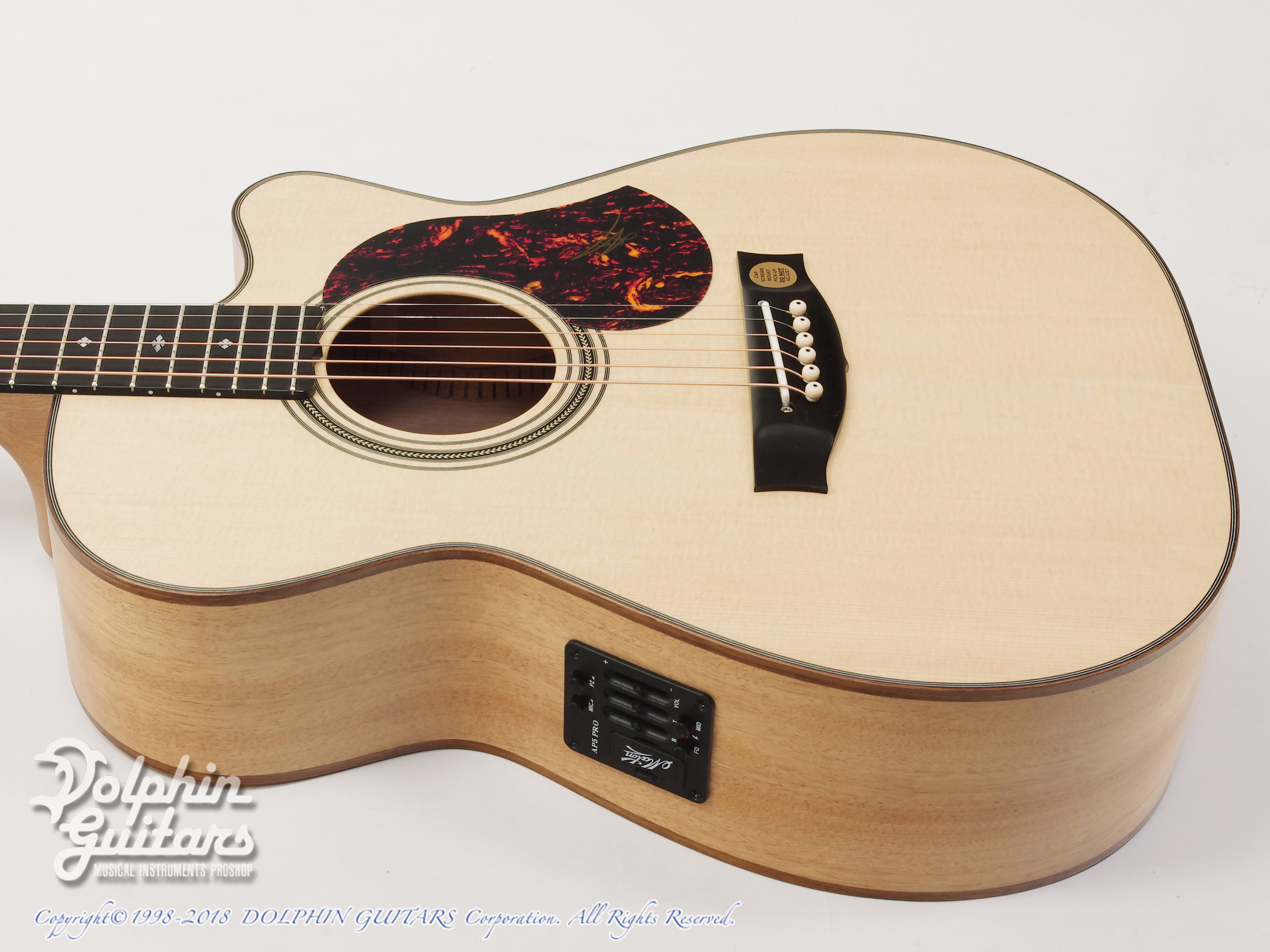 MATON EBG808C Michael Fix|ドルフィンギターズ