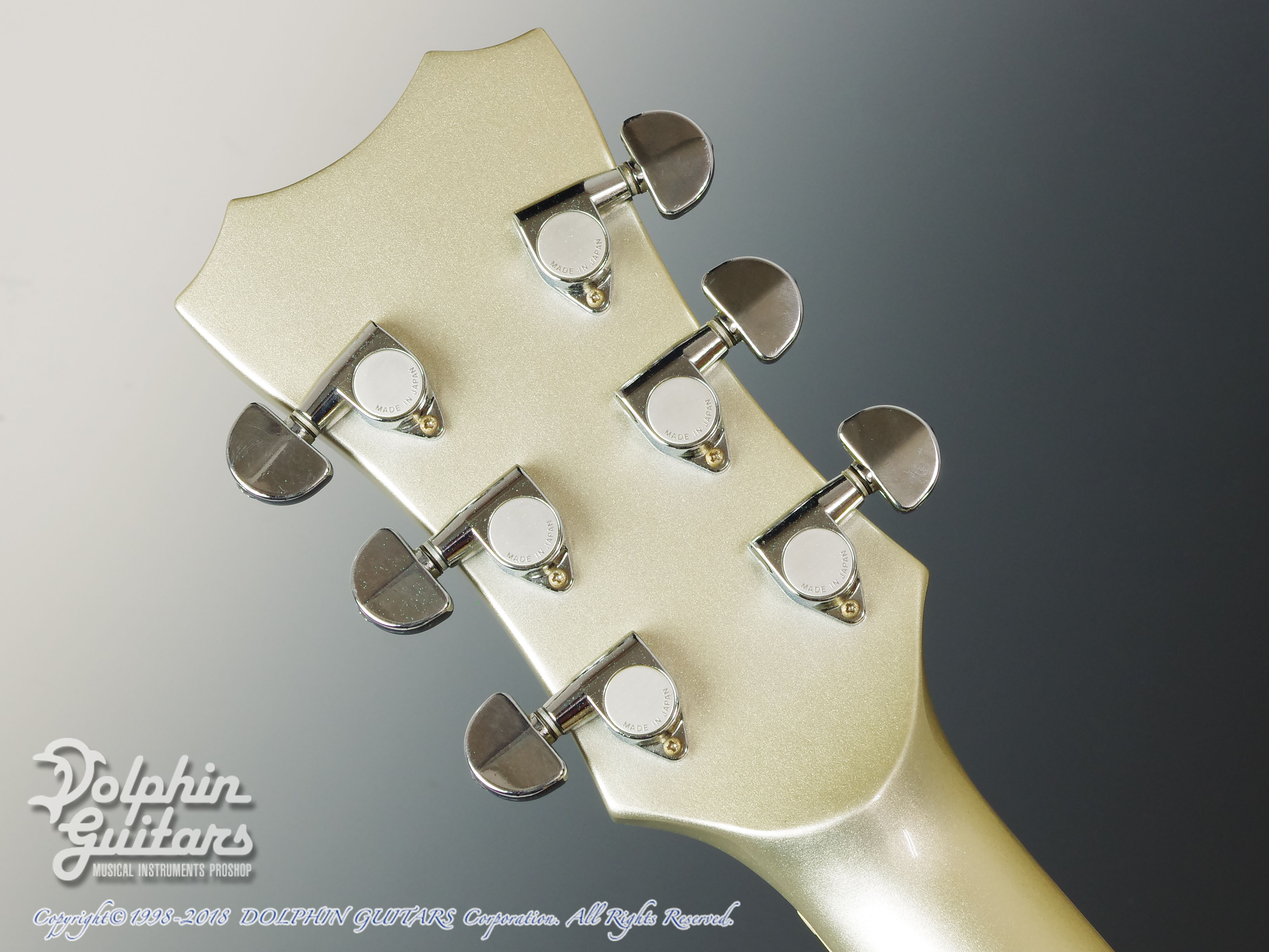 SCHECTER アーチトップ＆バックのフルアコ 内田勘太郎モデル