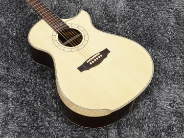 SJ Cutaway (Jacaranda)