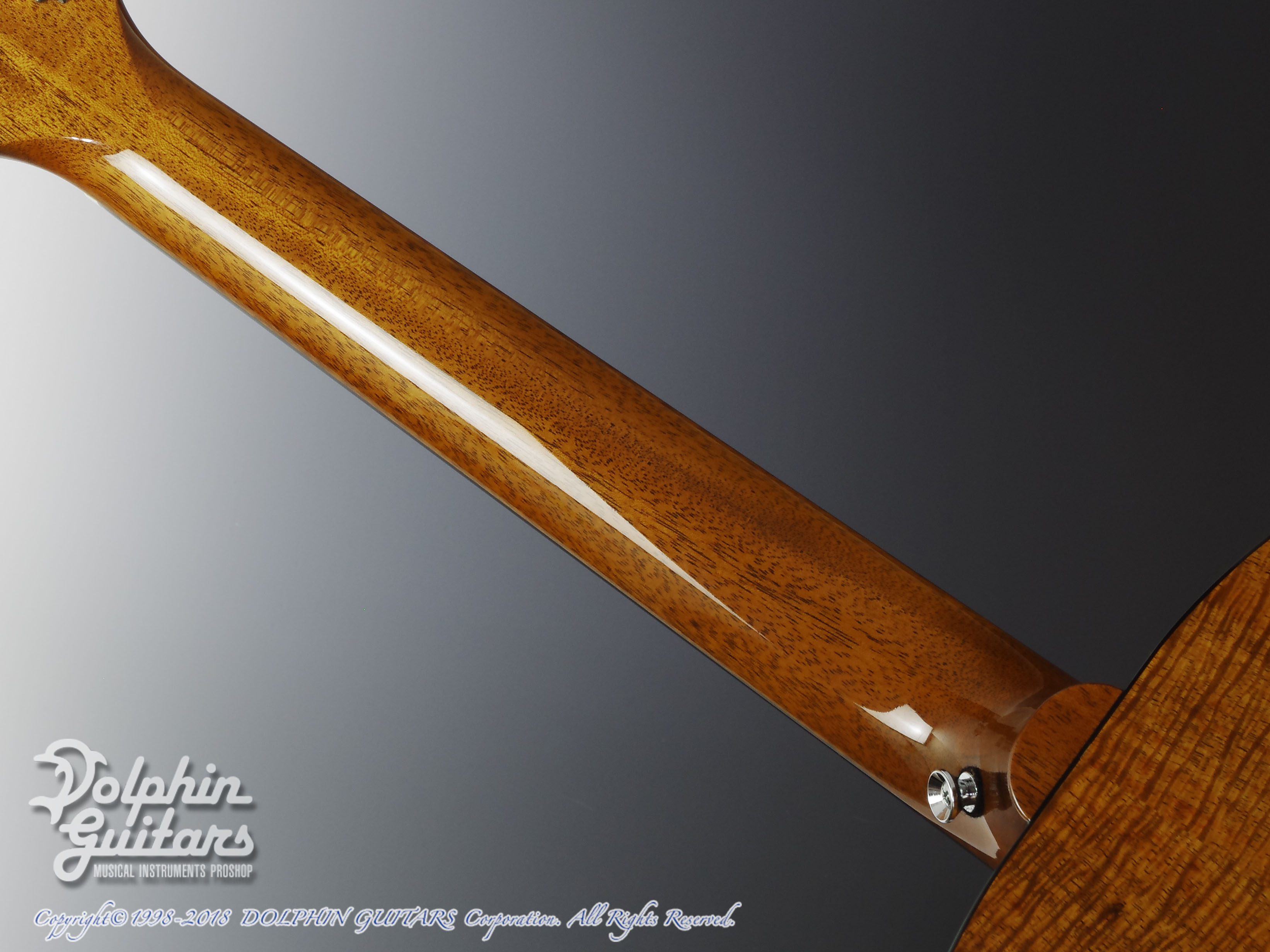 VG VG-SK Koa Ltd.(All Hawaiian Koawood)|ドルフィンギターズ