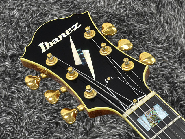 Ibanez PM120 Pat Metheny Signature フルアコ PM-120 Pat Metheny Signature Model|ドルフィンギターズ