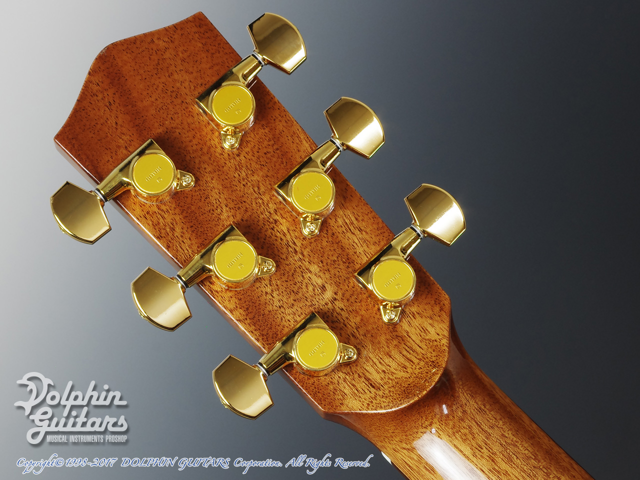 Greven Guitars Japan Oshio-DC HR (Honduras Rosewood)|ドルフィン