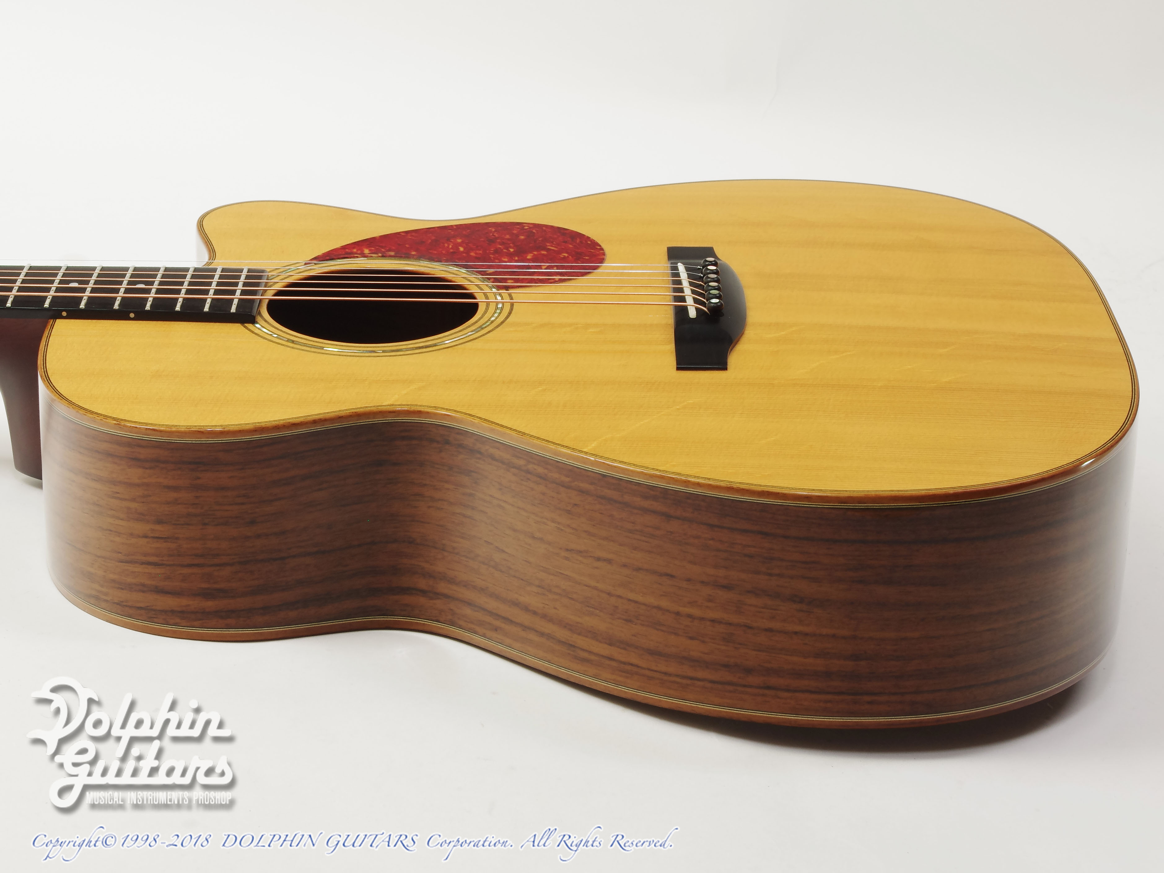 STEVENS OM Cutaway|ドルフィンギターズ