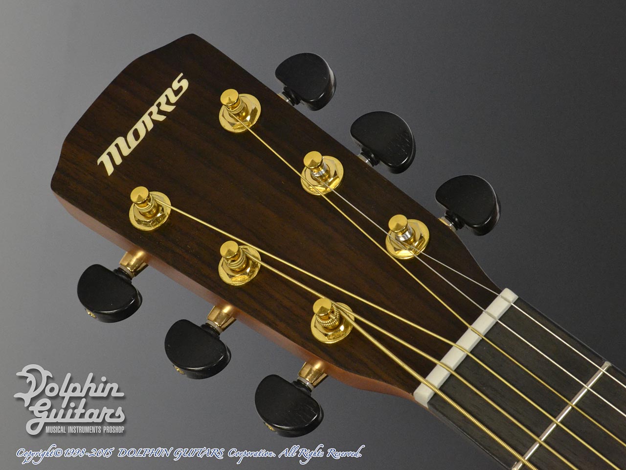 MORRIS SA-40|ドルフィンギターズ