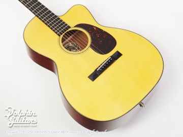 000-1A Cutaway (Varnish Finish)