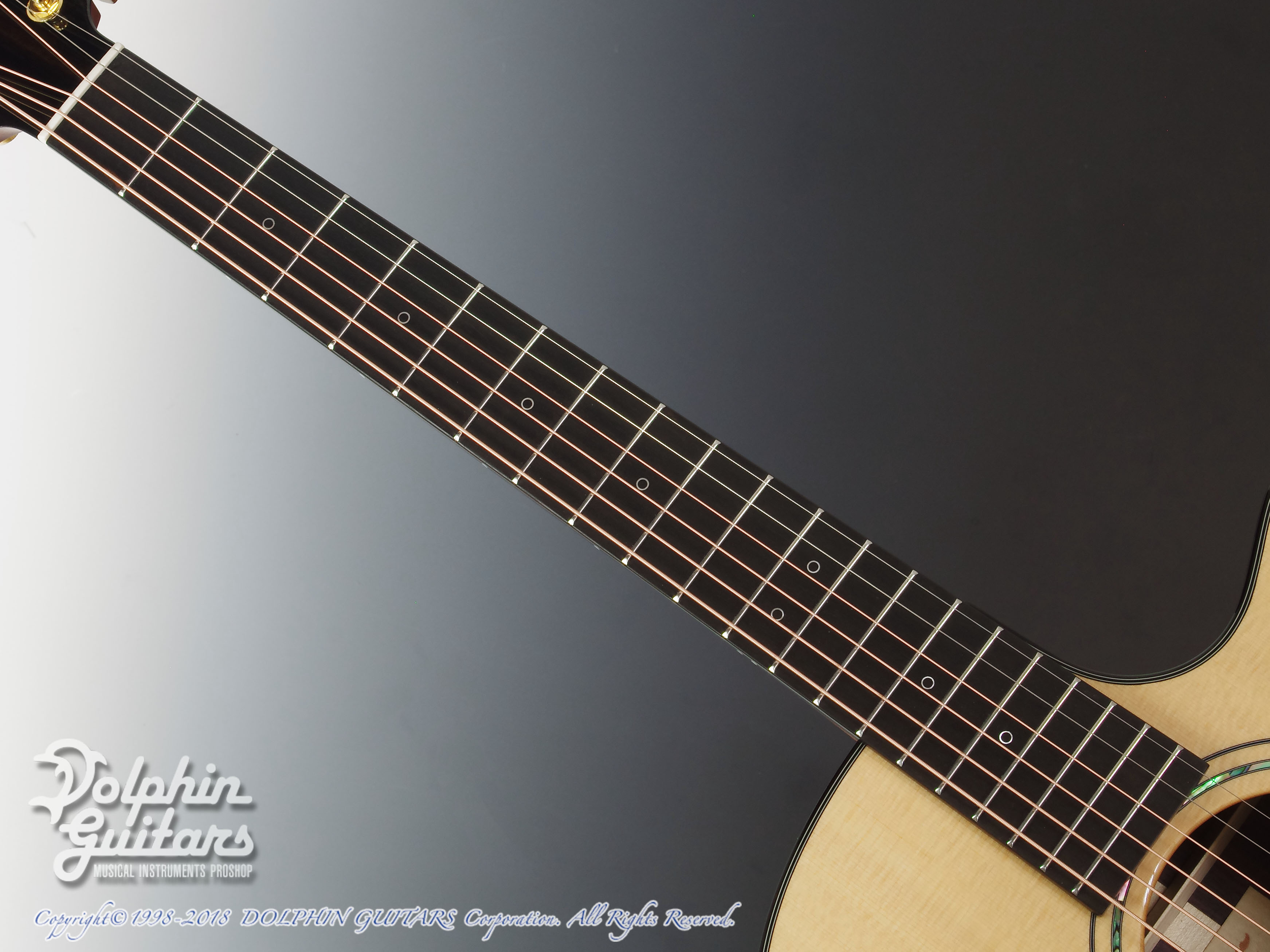 FURCH Yellow Gc-SR ( Sitka spruce & Indian rosewood)|ドルフィン