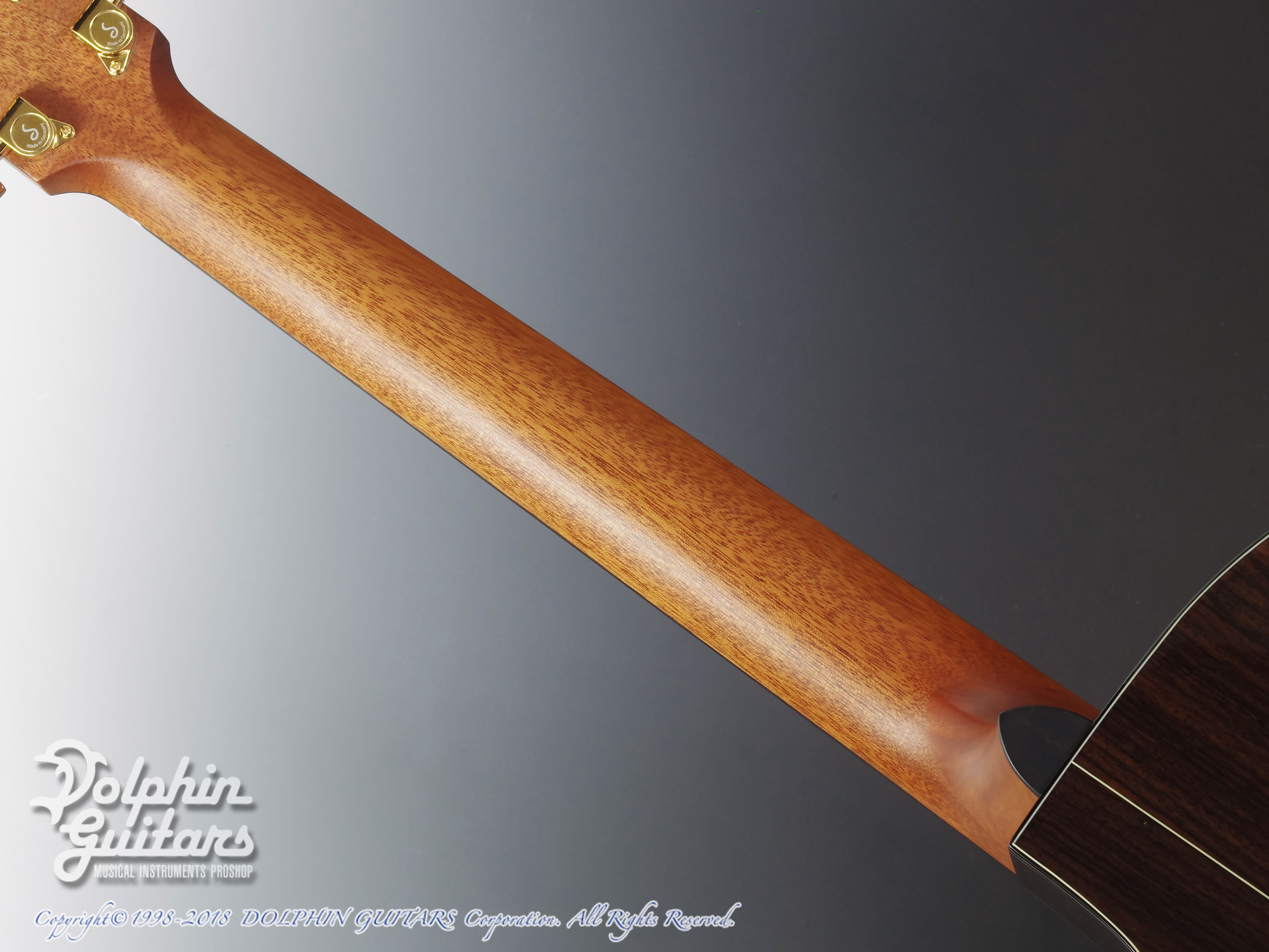 FURCH Yellow Gc-SR ( Sitka spruce & Indian rosewood)|ドルフィン