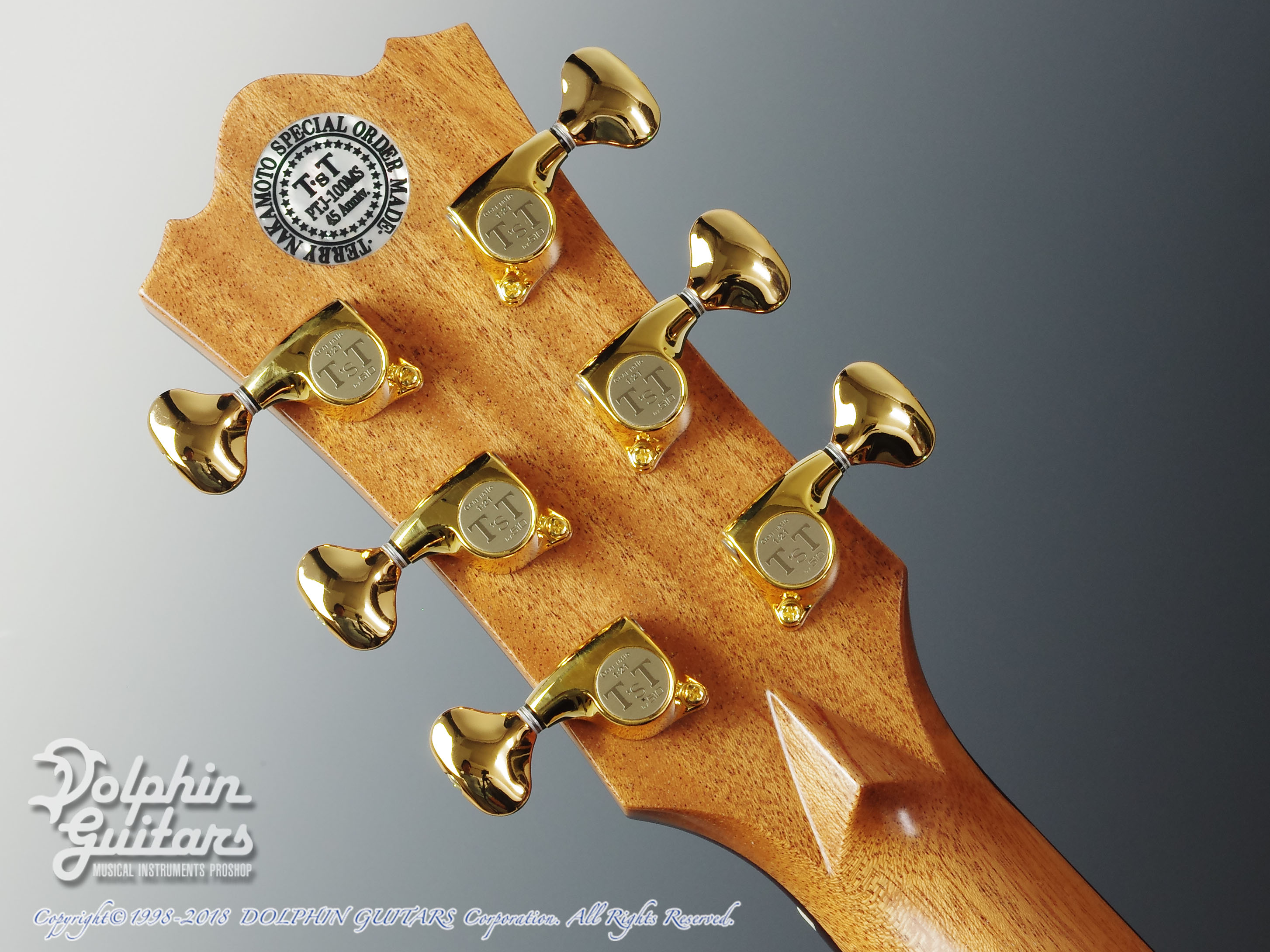 T'sT Premium Terry PTJ-100 MS 45th Anniversary Model|ドルフィン