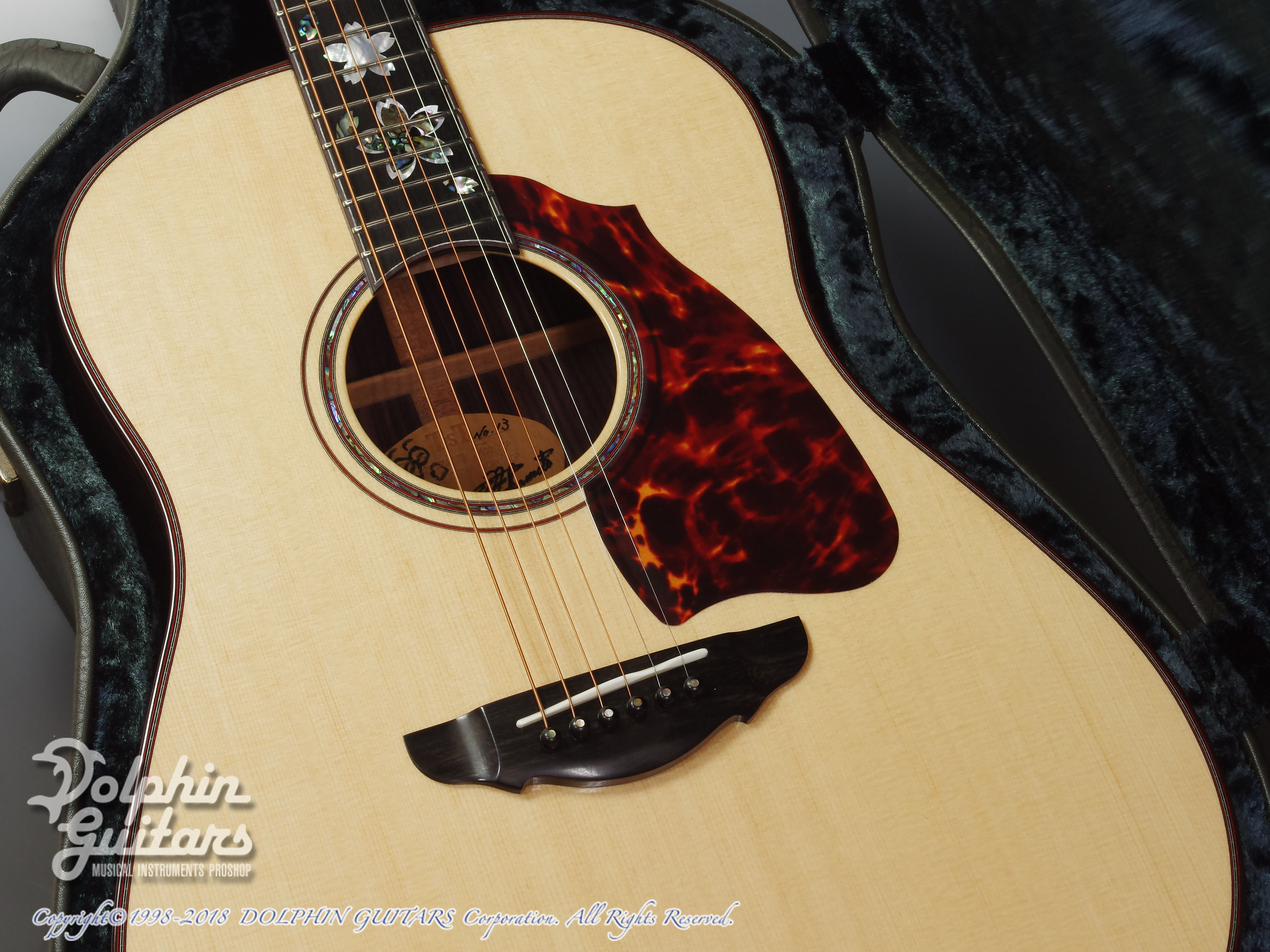 T'sT Premium Terry PTJ-100 MS 45th Anniversary Model|ドルフィン