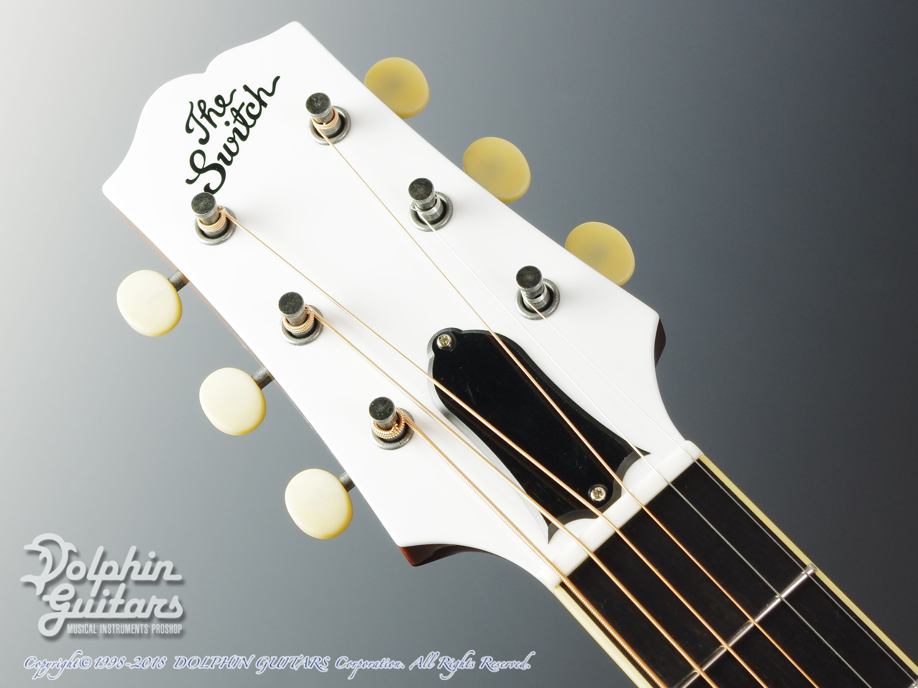SWITCH SL-1 Bee MP (Blue Gray)|ドルフィンギターズ