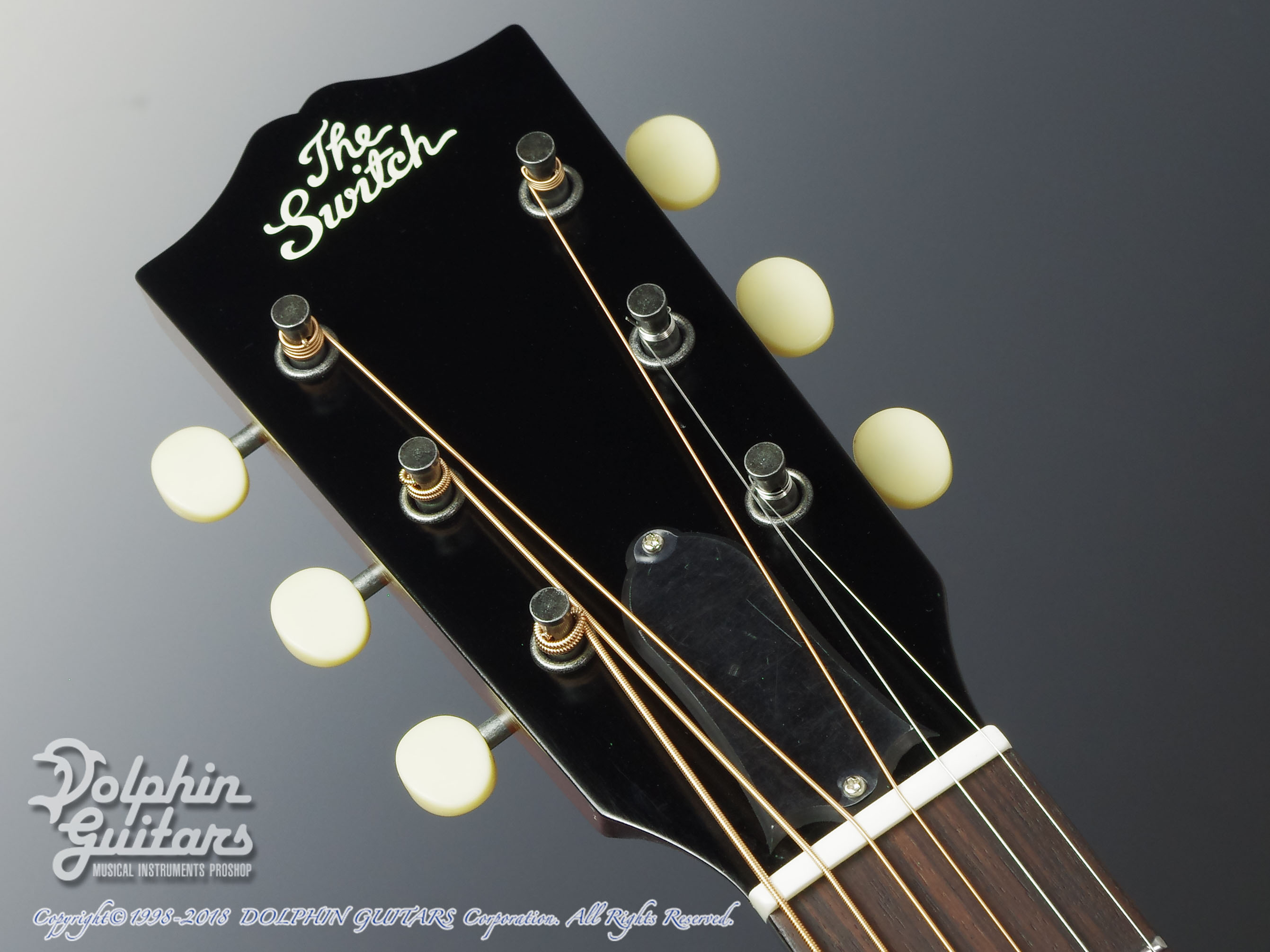 SWITCH SL-0 Irene HM (All Honduran Mahogany)|ドルフィンギターズ