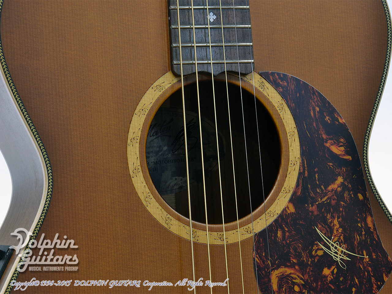 MATON EBG808MH (秦 基博シグネチャー)|ドルフィンギターズ