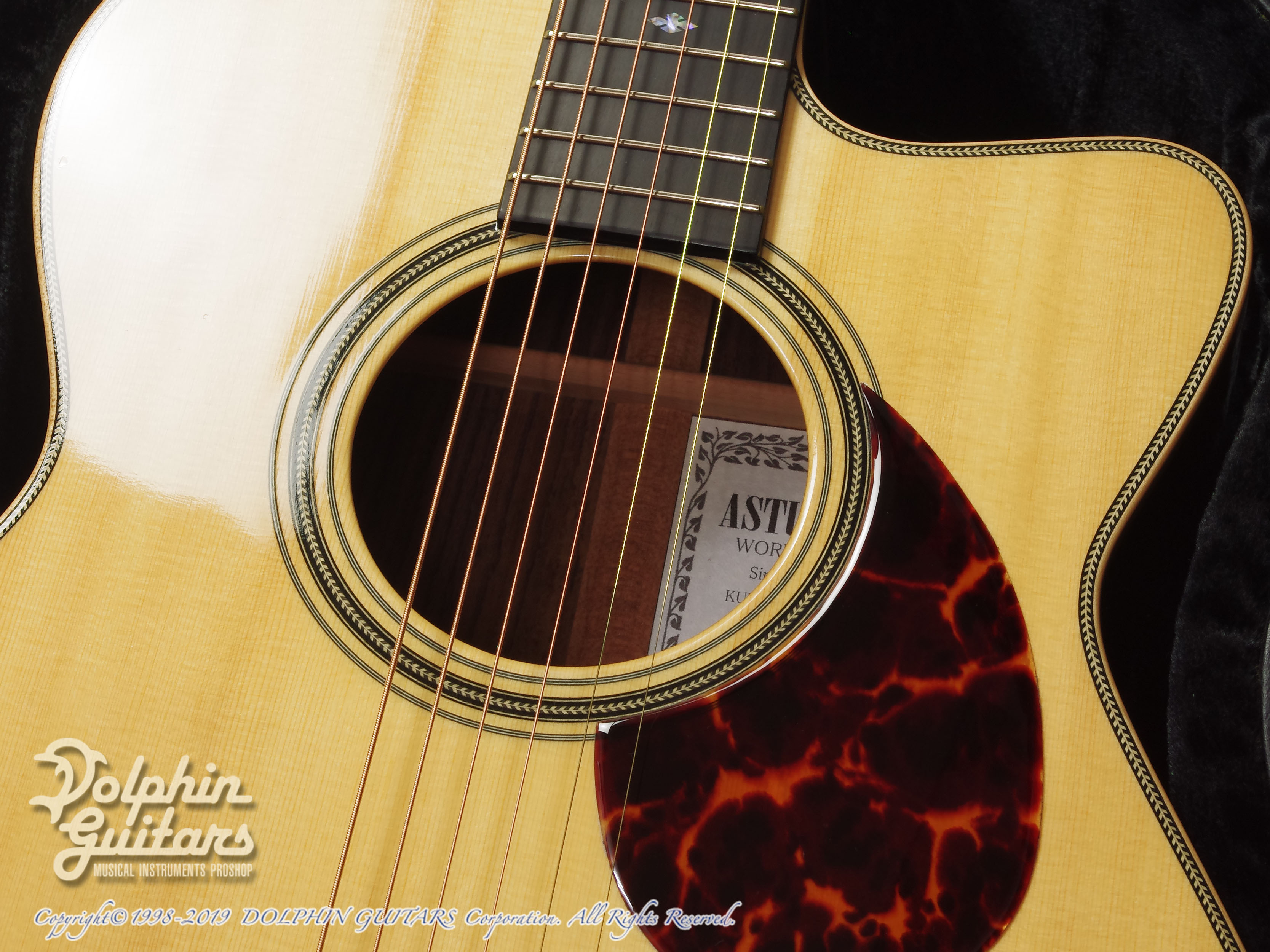 ASTURIAS Solo Herringbone |ドルフィンギターズ