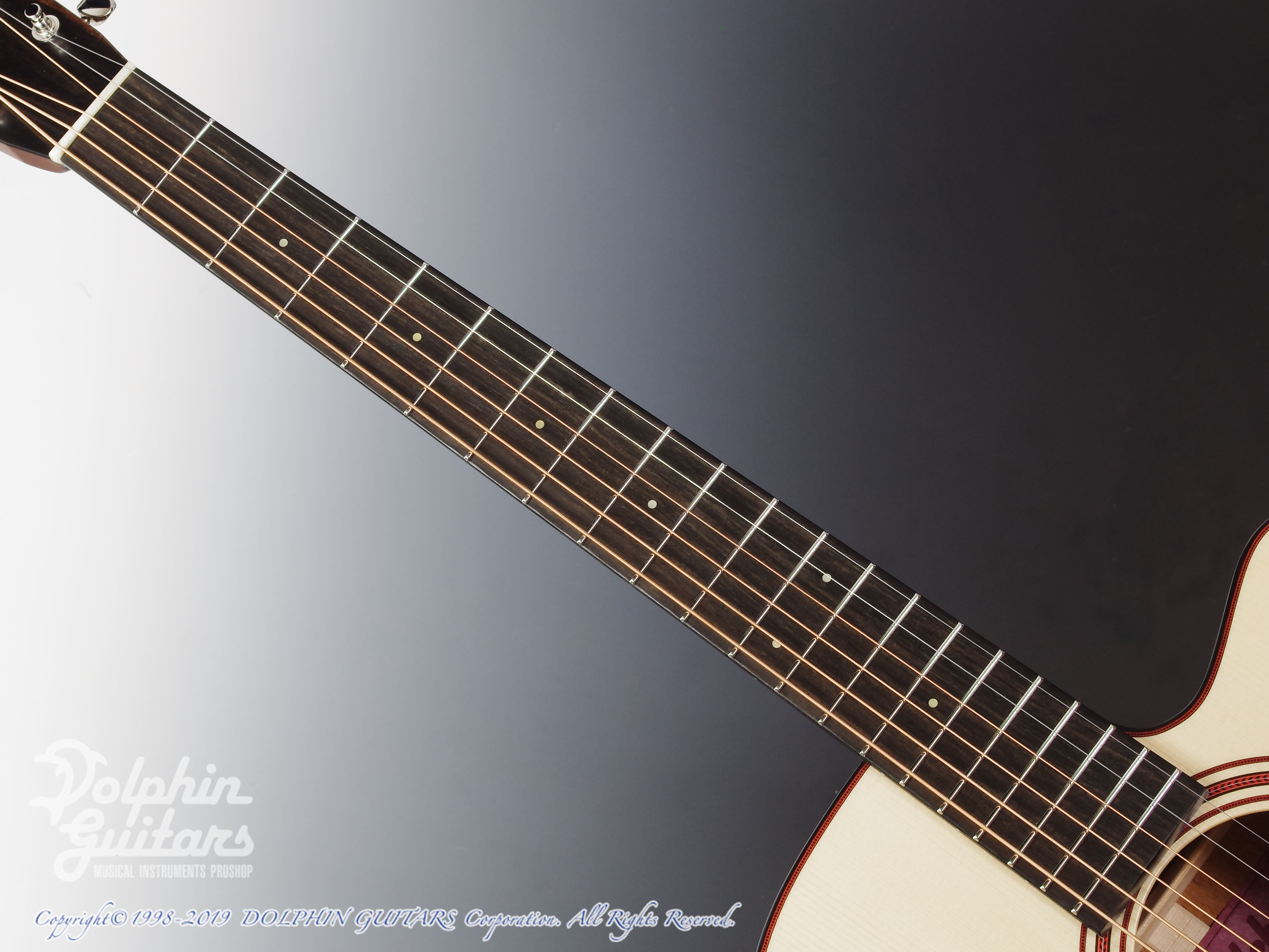 Switch SCOM-1C A-VH アディロン&ビンテージマホガニー！ SWITCH SCOM-1C A-VH (Adirondack Spruce & Honduran Mahogany