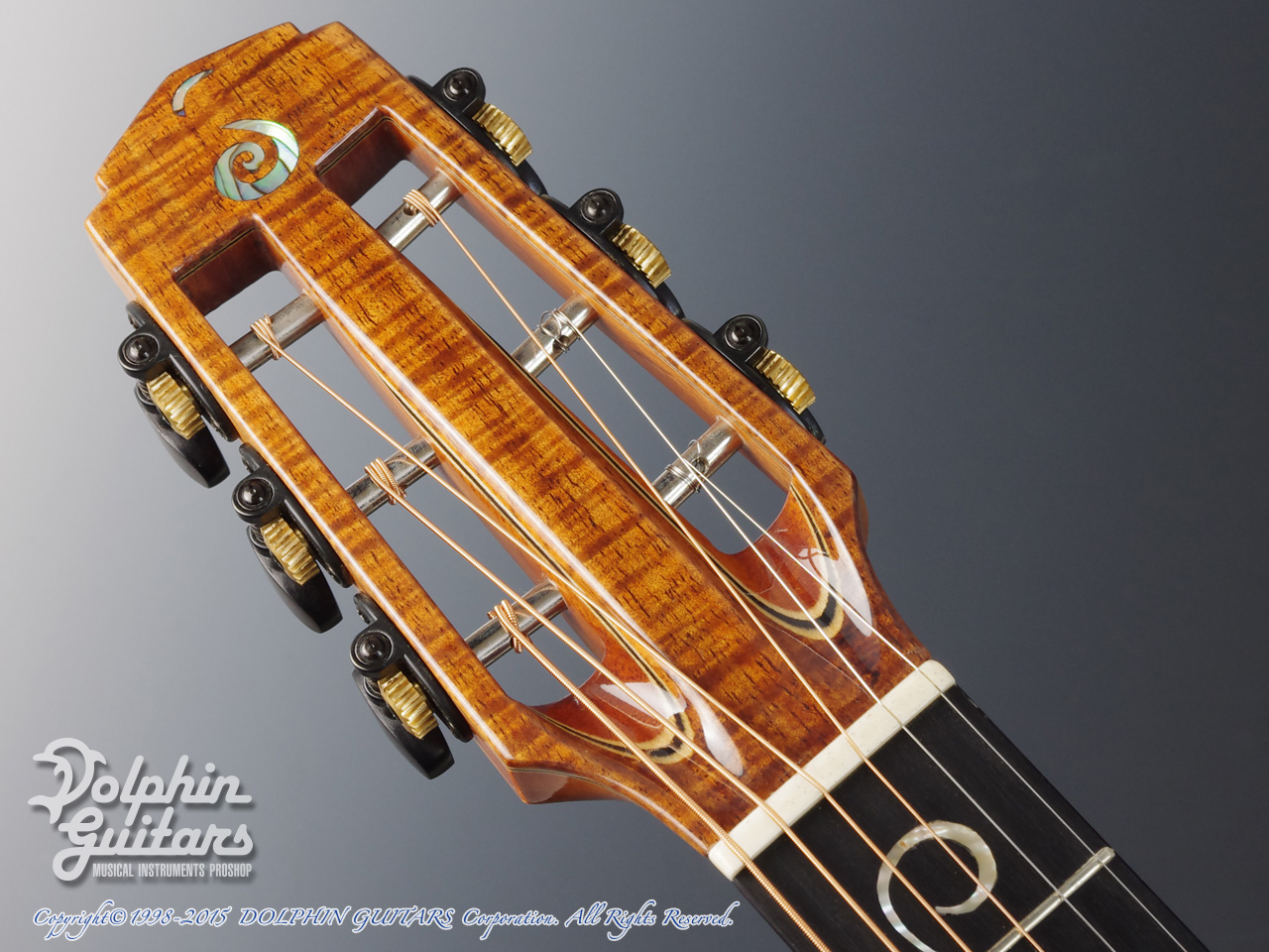 JACK SPIRA GUITARS JS-A1C Grape Vine|ドルフィンギターズ