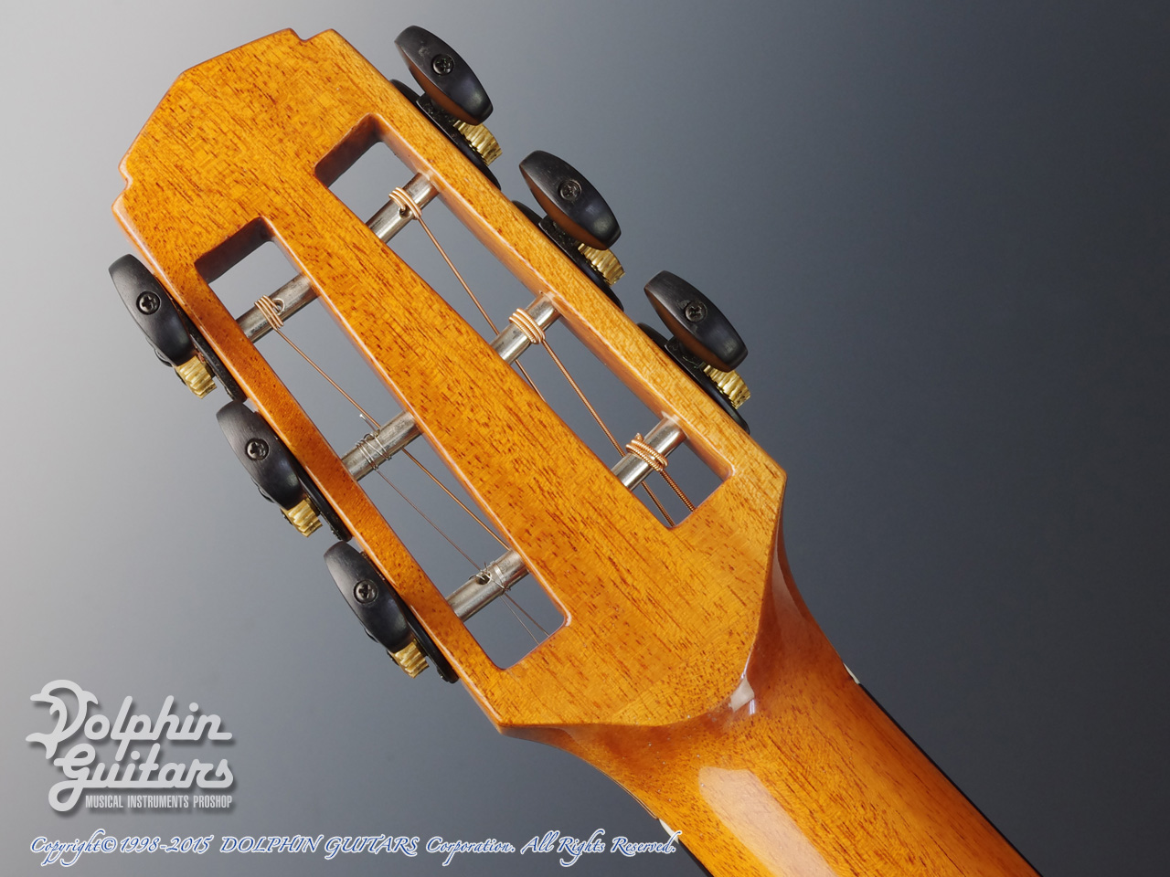 JACK SPIRA GUITARS JS-A1C Grape Vine|ドルフィンギターズ