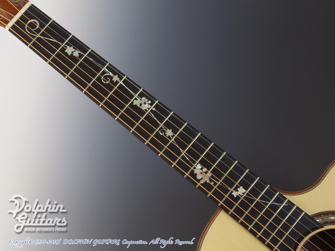 JACK SPIRA GUITARS JS-A1C Grape Vine|ドルフィンギターズ