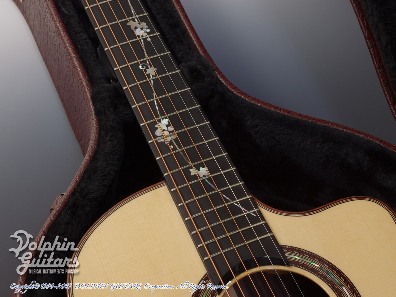 JACK SPIRA GUITARS JS-A1C Grape Vine|ドルフィンギターズ