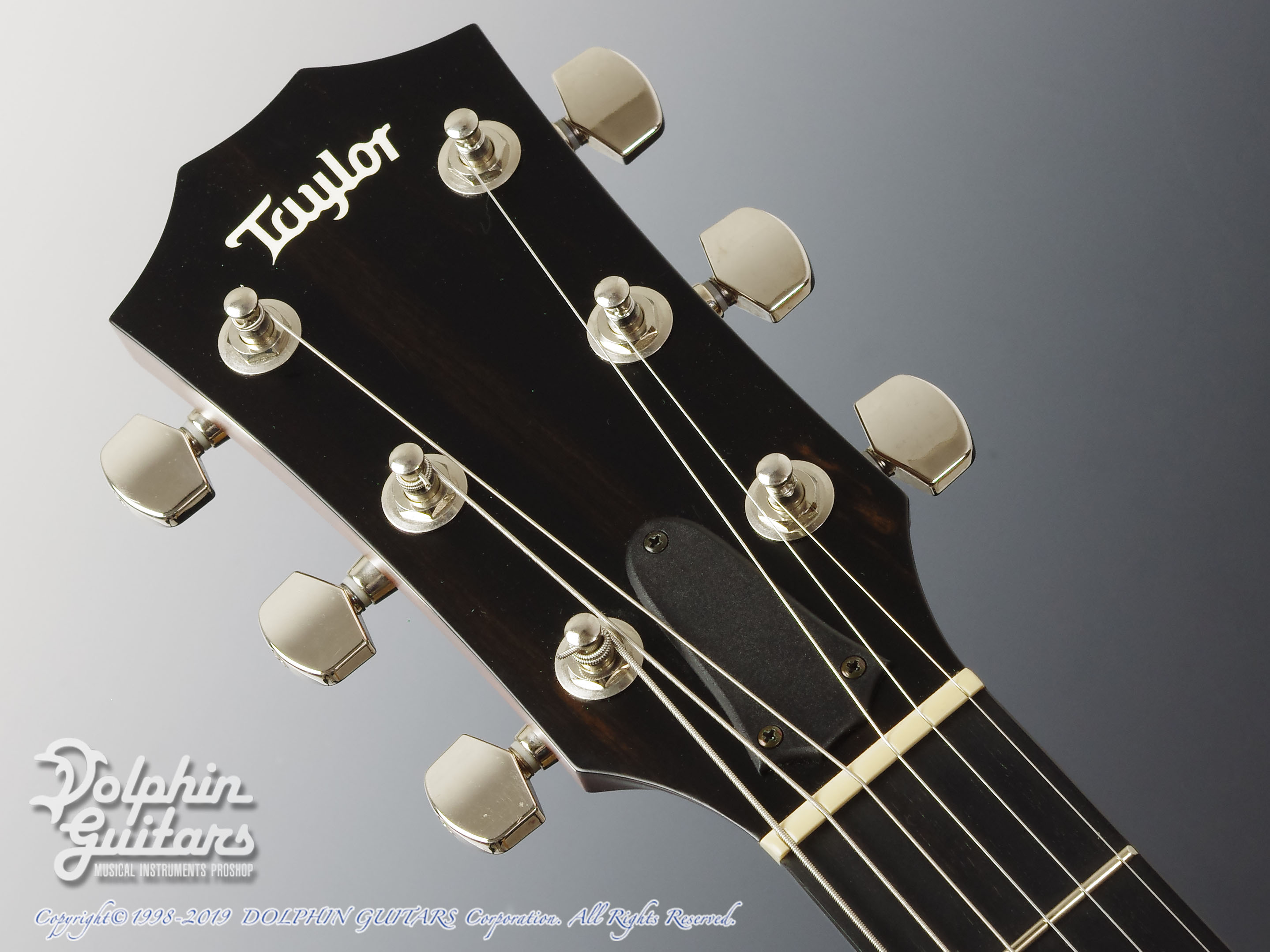 TAYLOR T5 Classic|ドルフィンギターズ
