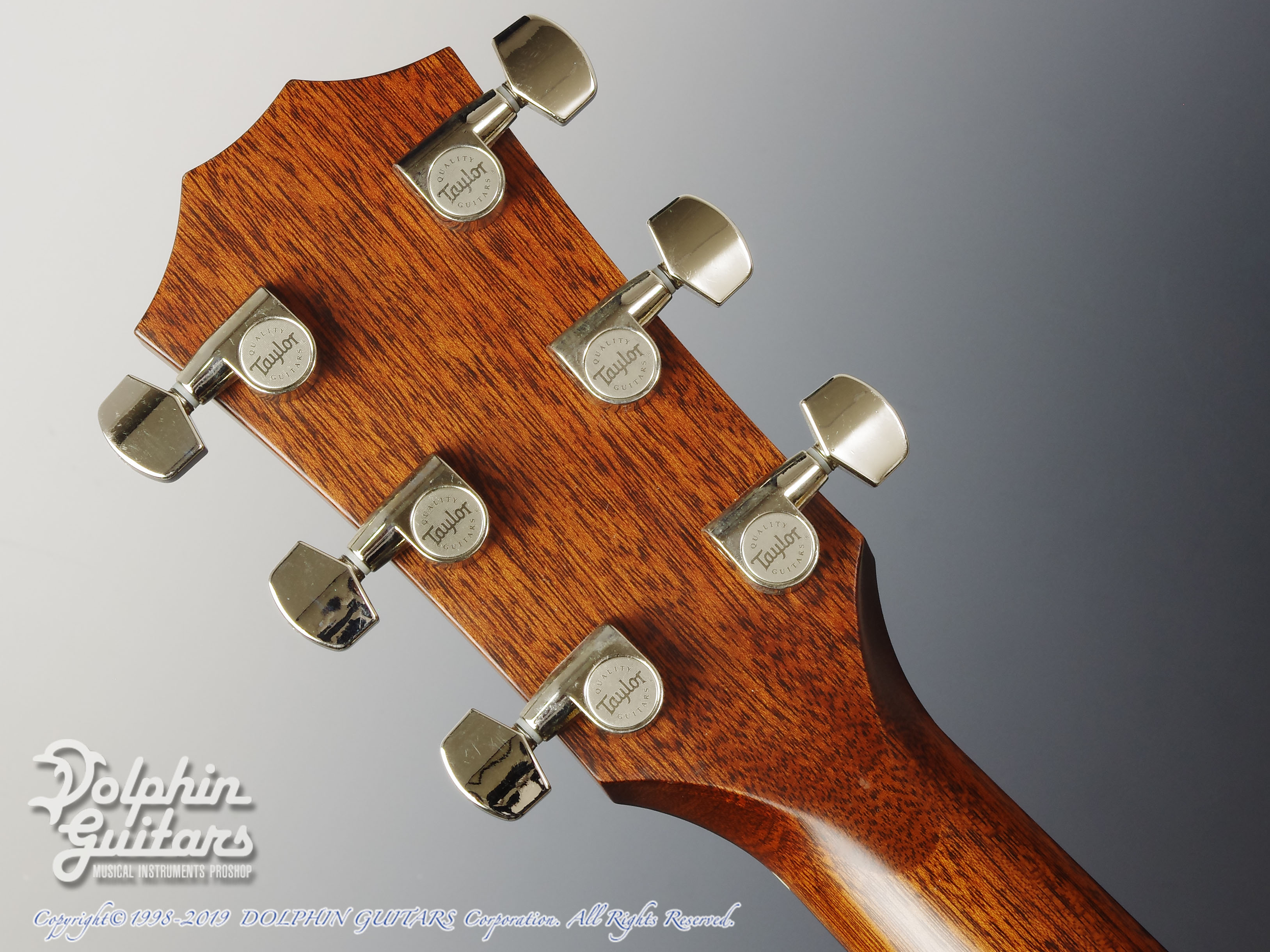 TAYLOR T5 Classic|ドルフィンギターズ