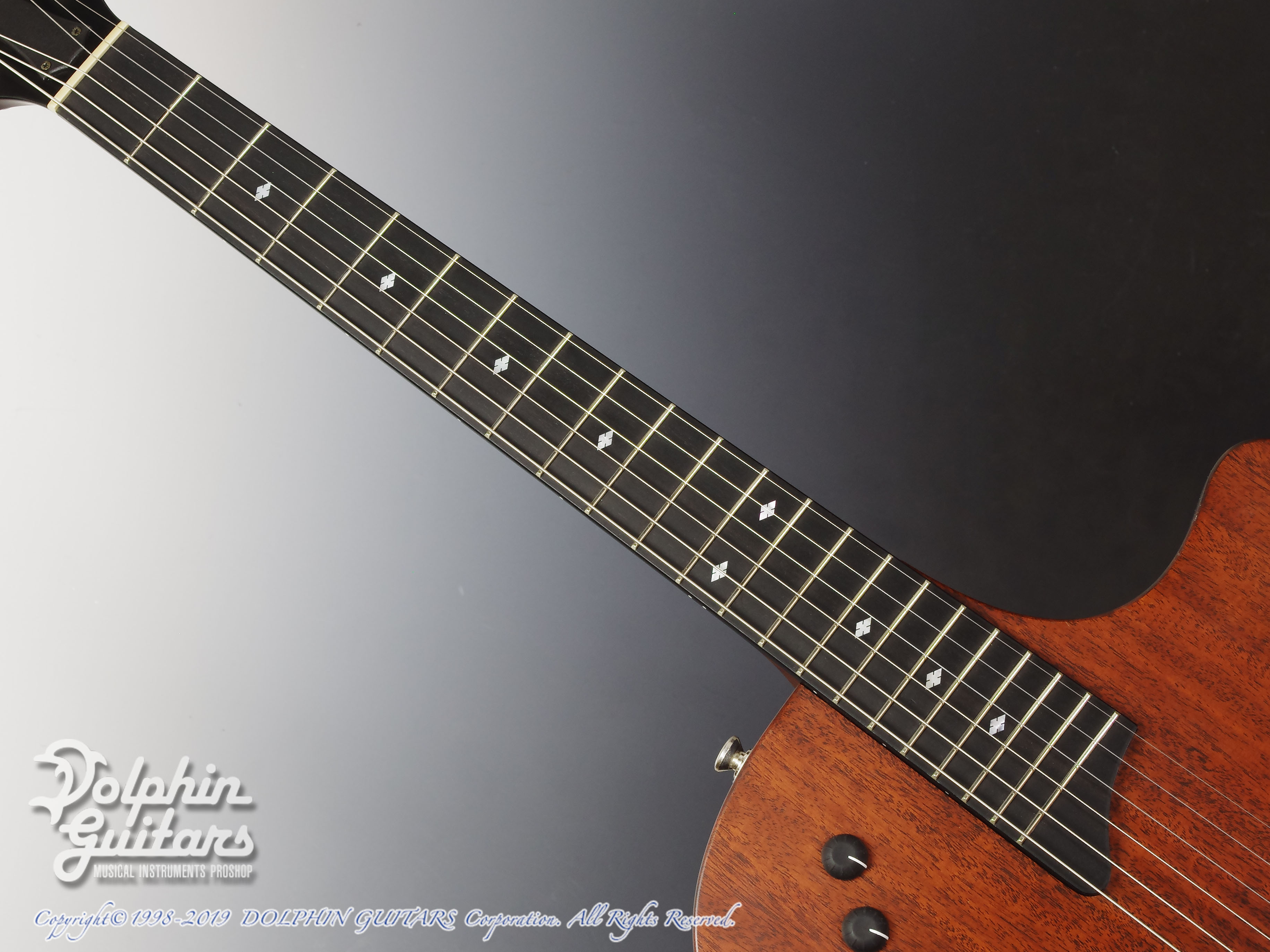 TAYLOR T5 Classic|ドルフィンギターズ
