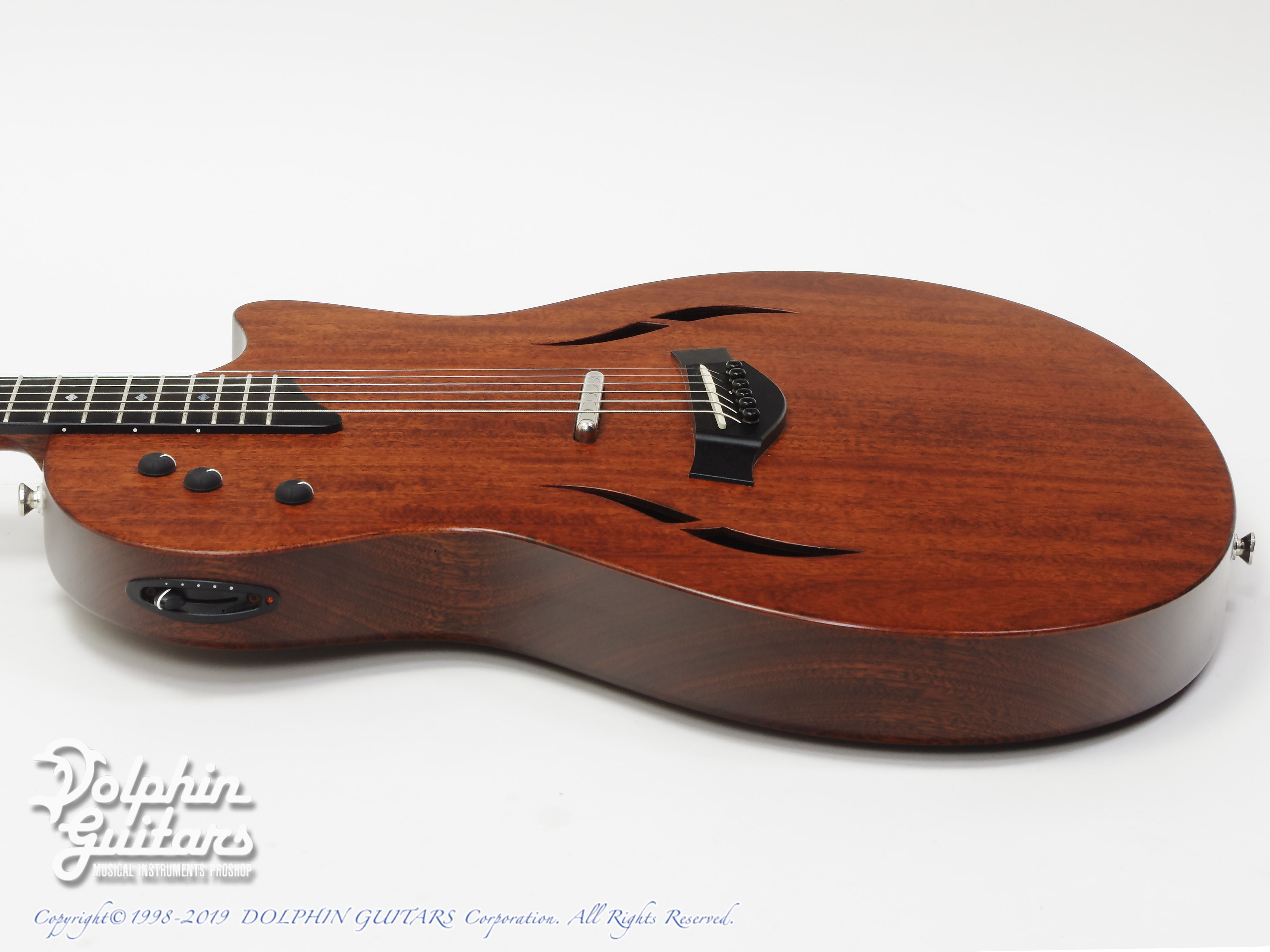 TAYLOR T5 Classic|ドルフィンギターズ 