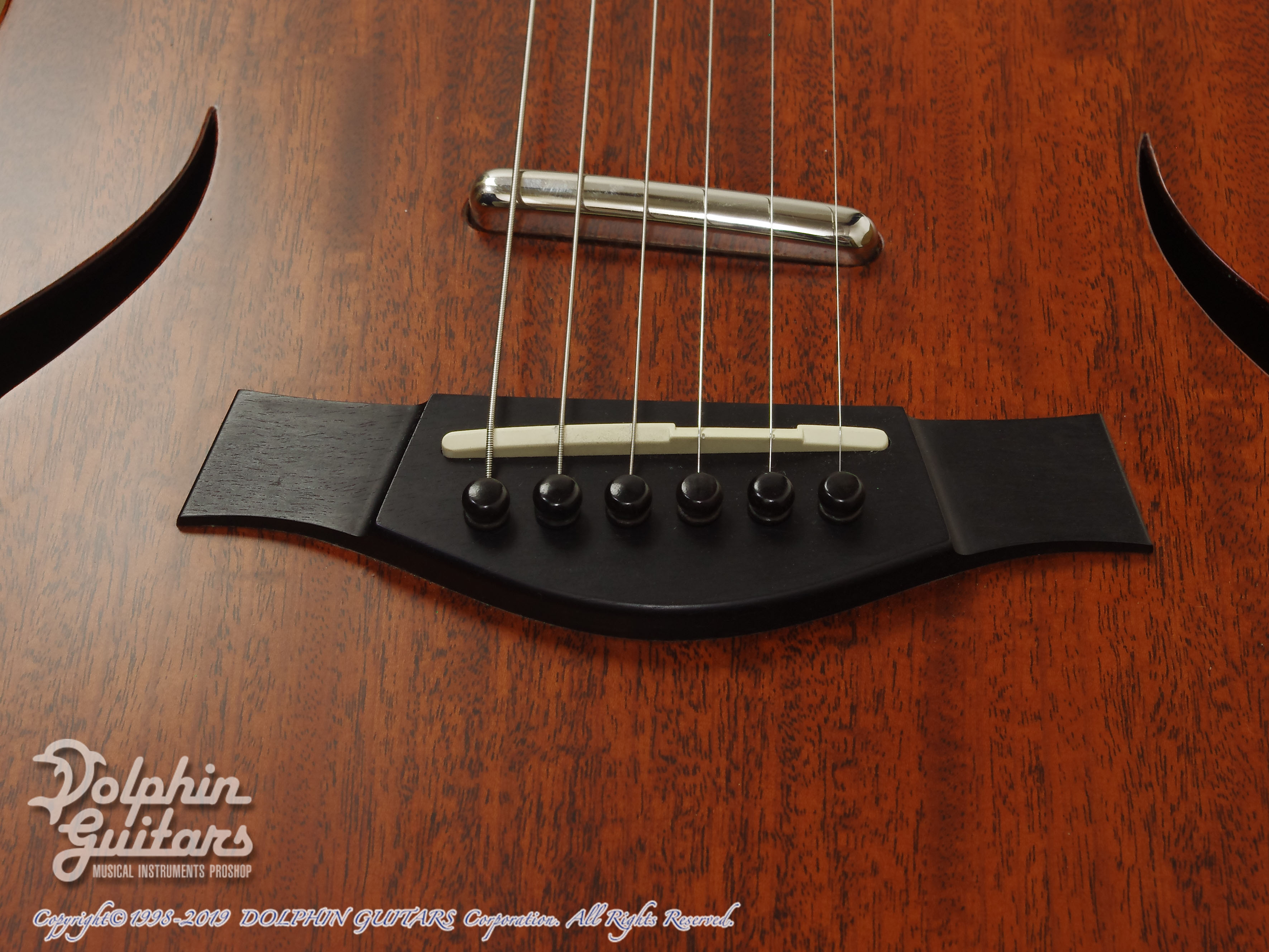 TAYLOR T5 Classic|ドルフィンギターズ