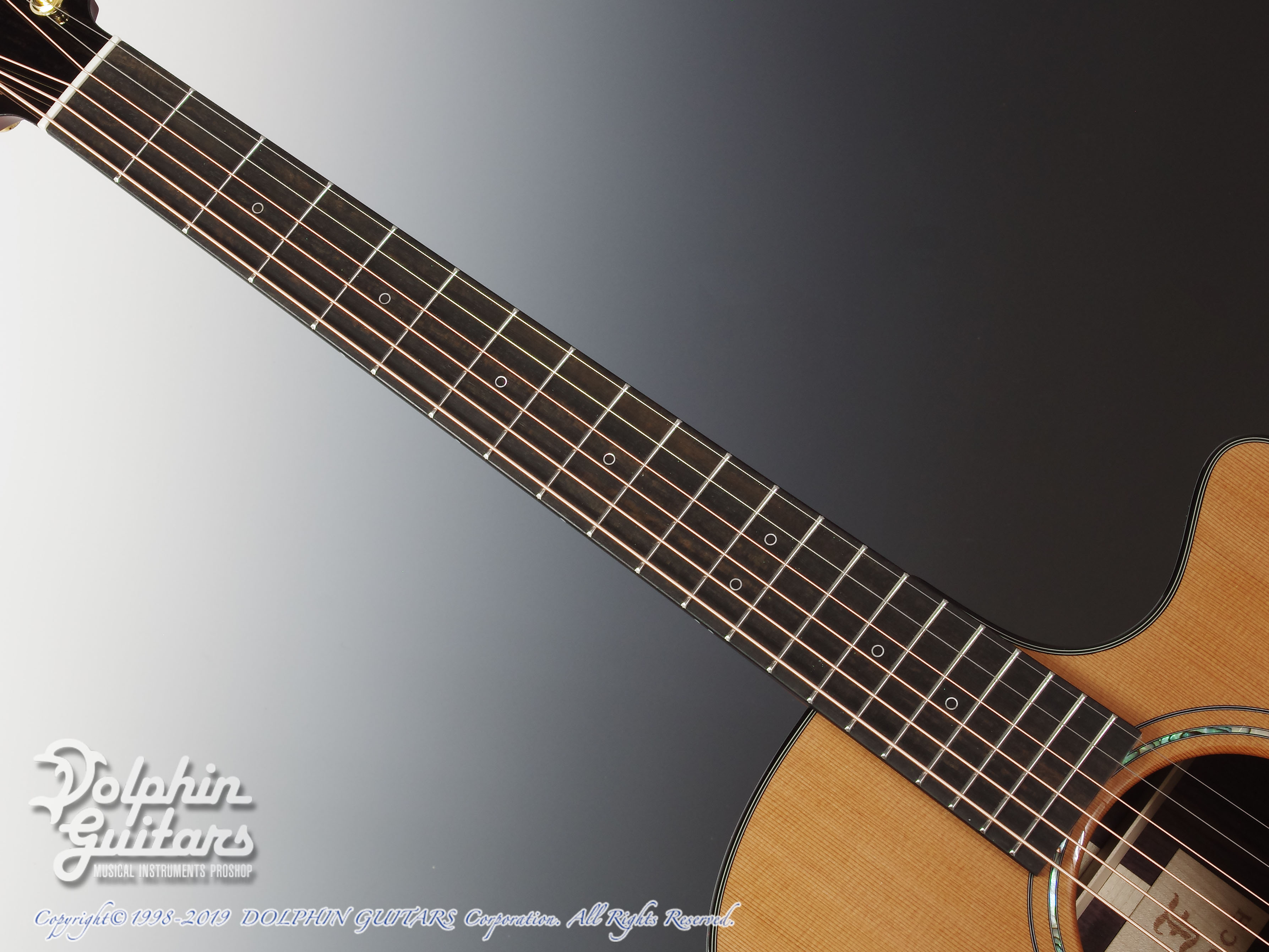 FURCH Yellow Gc-CR 43mm Nut (Cedar & Indian Rosewood)|ドルフィン