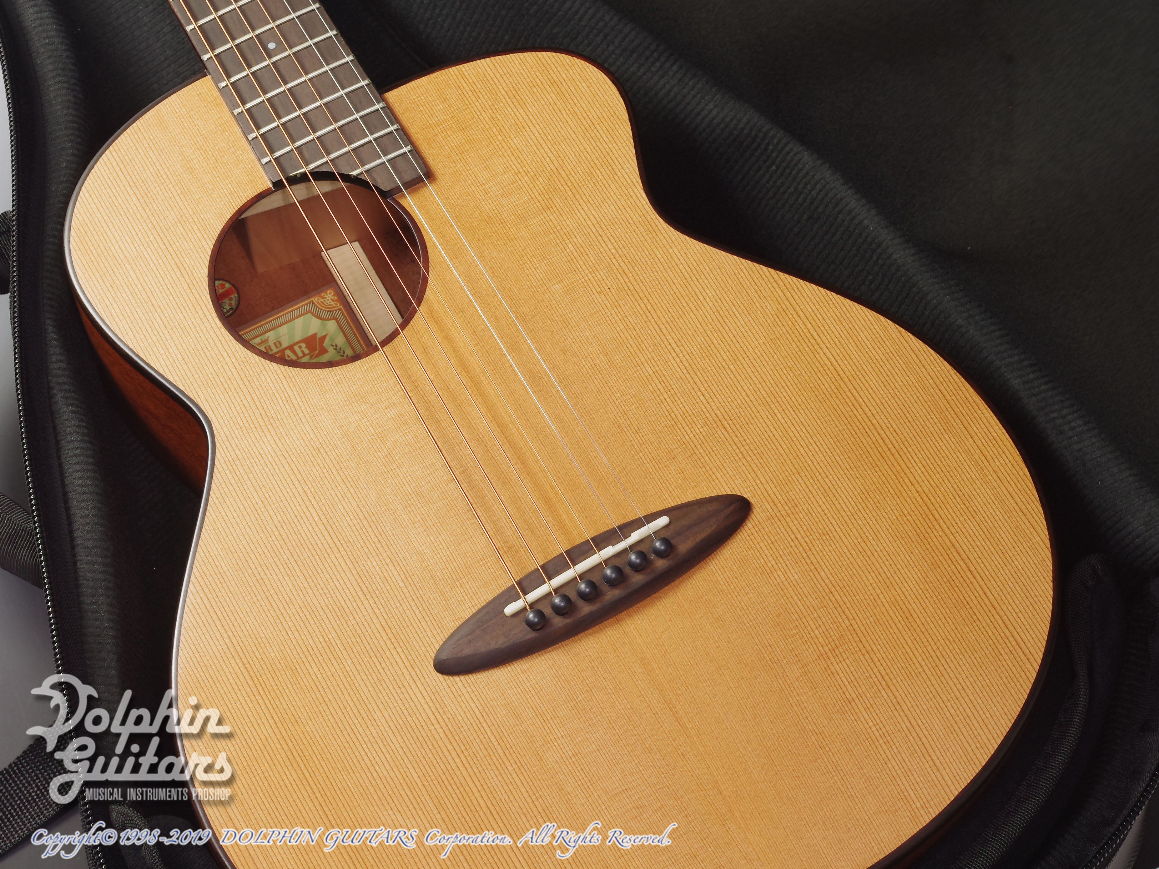 aNueNue aNN-MV114|ドルフィンギターズ