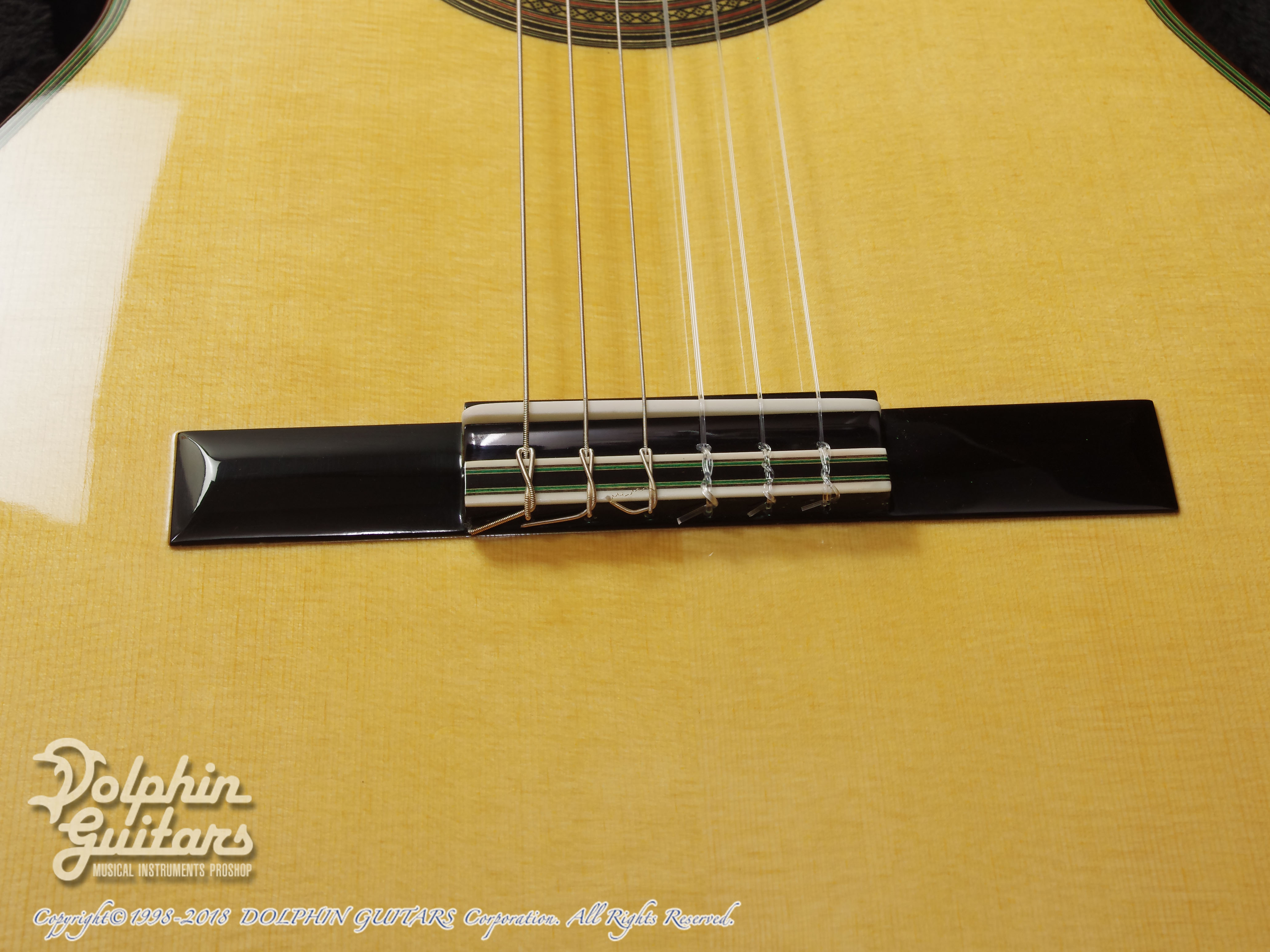 NISHINO SHUNPEI (西野春平) NR-3 |ドルフィンギターズ