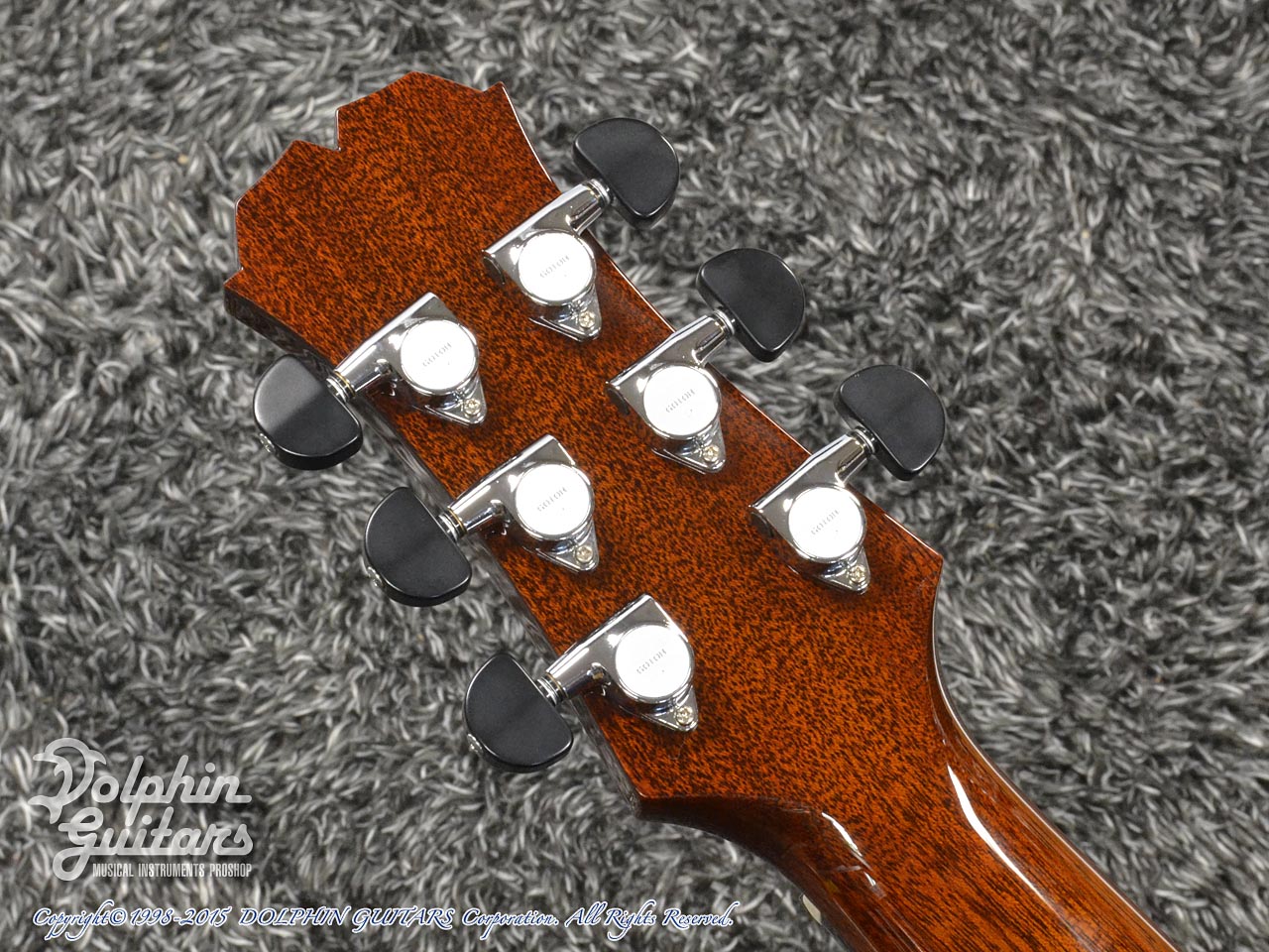 TEARS TLP-EGP|ドルフィンギターズ