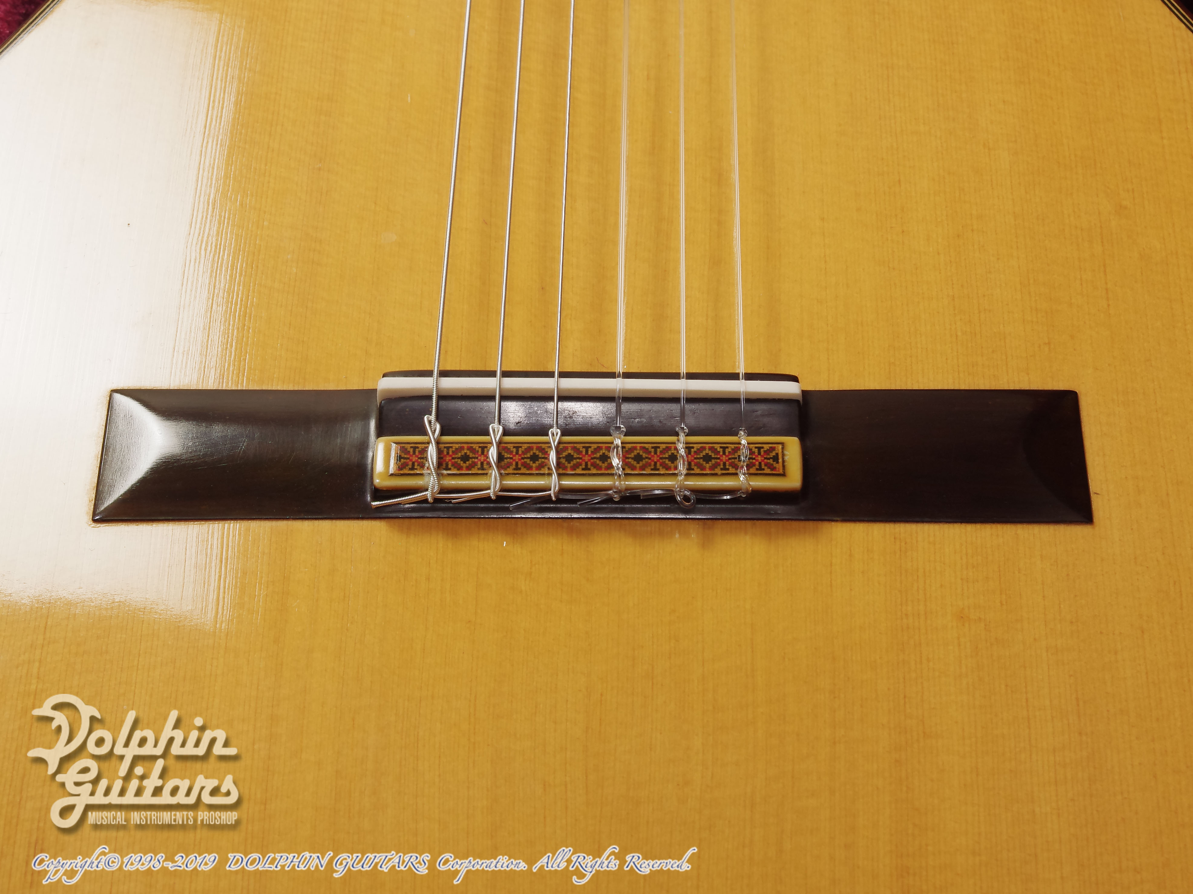 NAKADE TOSHIHIKO (中出敏彦) Master|ドルフィンギターズ