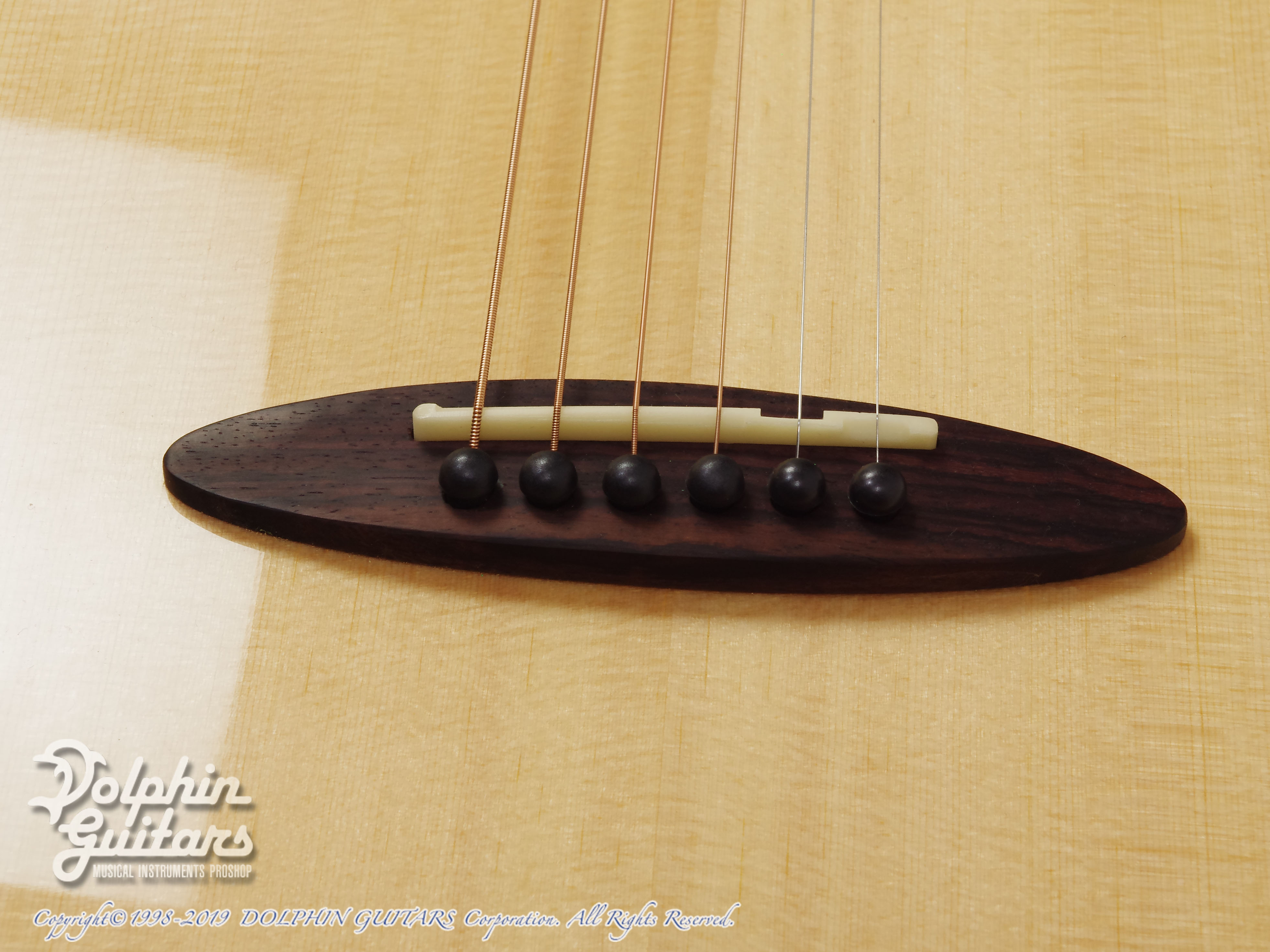 aNueNue Bird aNN-M12|ドルフィンギターズ