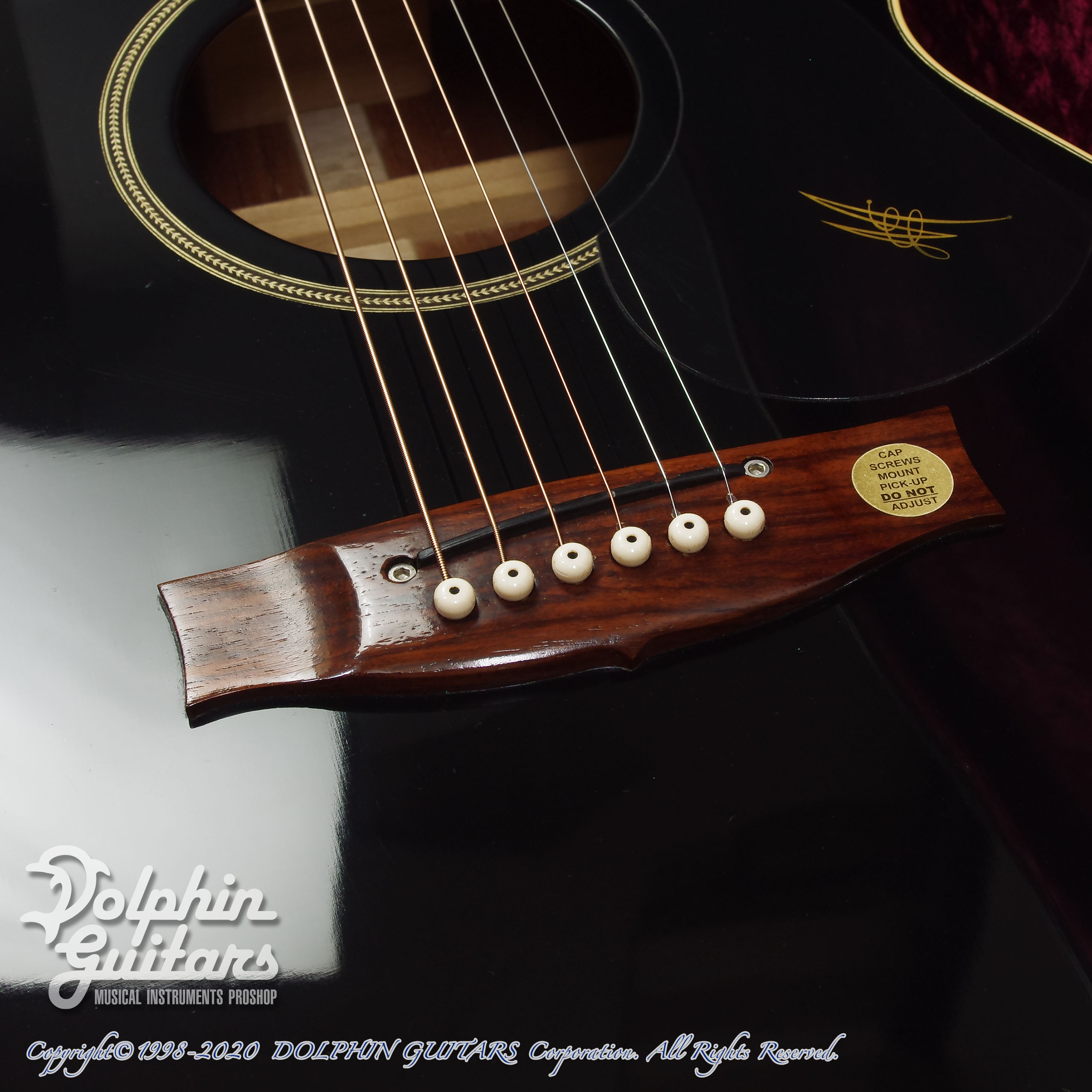 MATON EBG808 All Black (Japan Limited)|ドルフィンギターズ