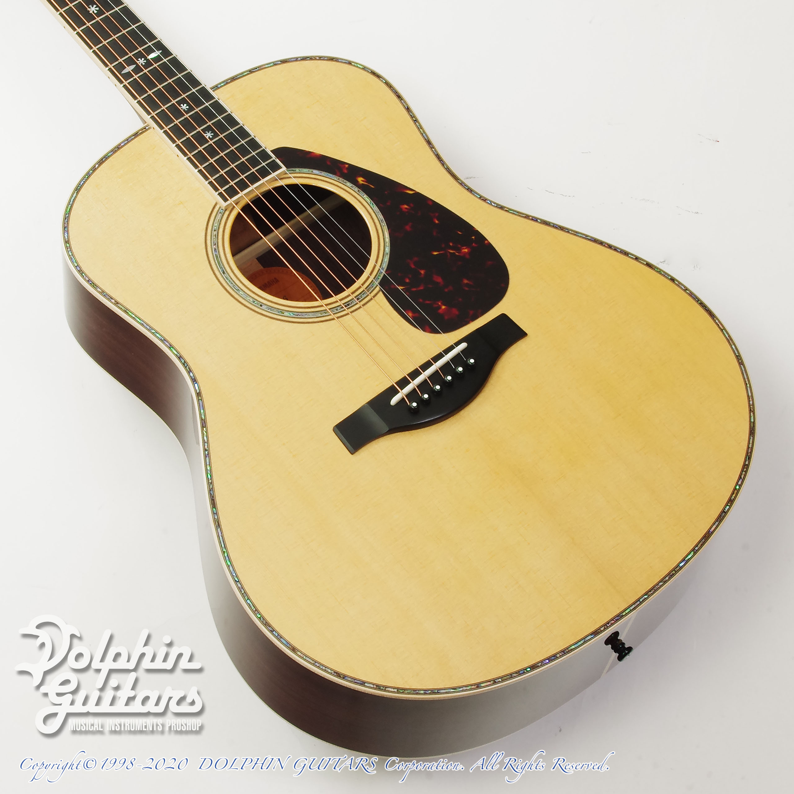 ドルフィンライブ　キツメ trielotur.com.br