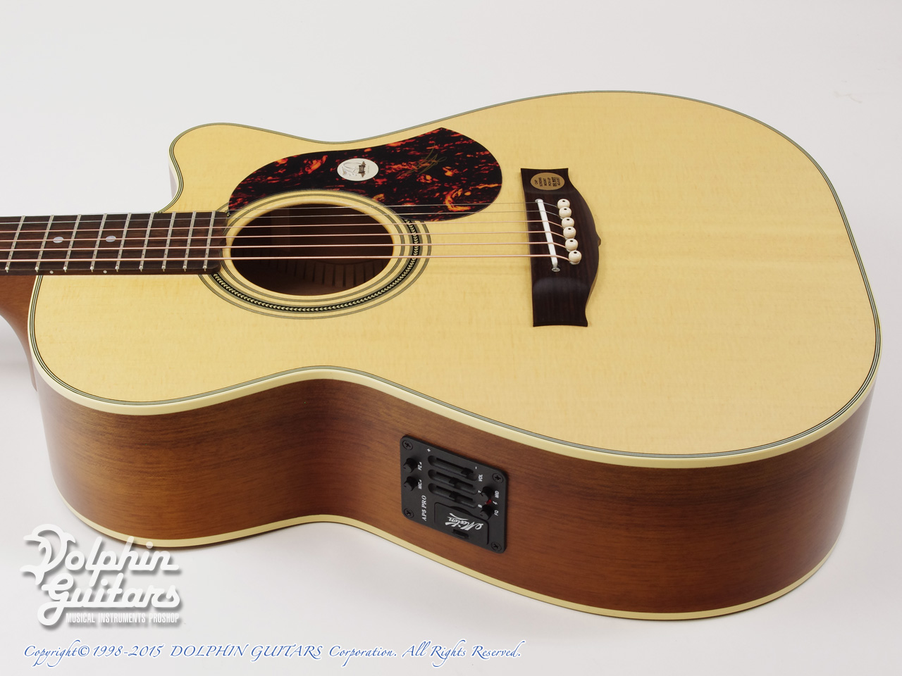 MATON EBG808C TE (Tommy Emmanuel Signature)|ドルフィンギターズ
