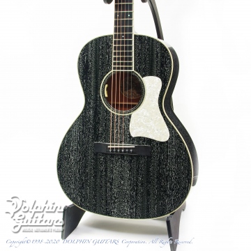 C-10 DLX mh (Doghair Finish)