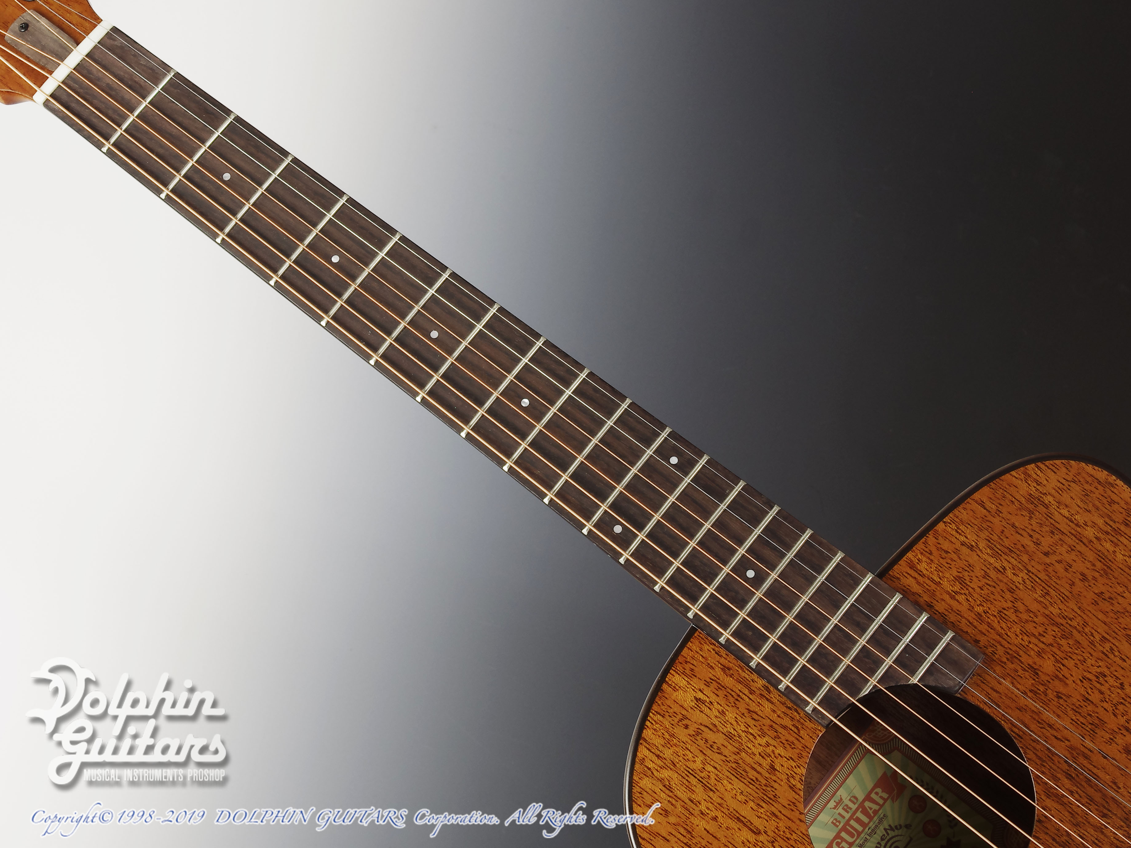 aNueNue Bird aNN-M20 (All Mahogany)|ドルフィンギターズ