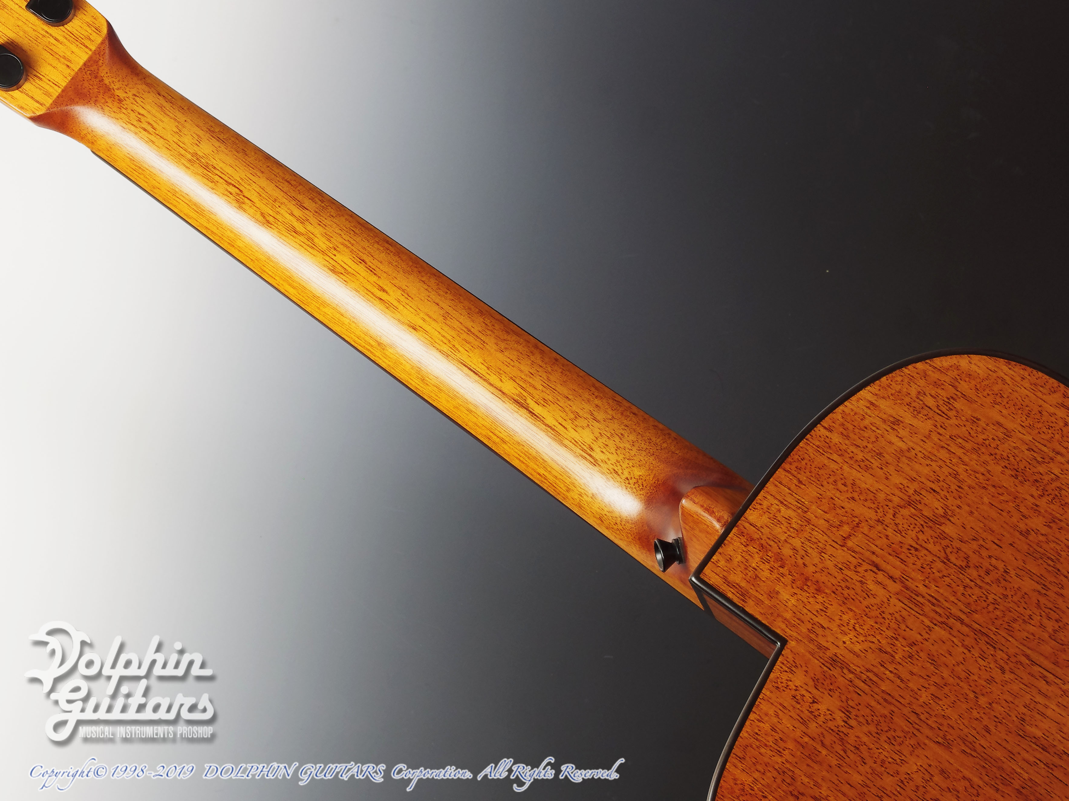 aNueNue Bird aNN-M20 (All Mahogany)|ドルフィンギターズ