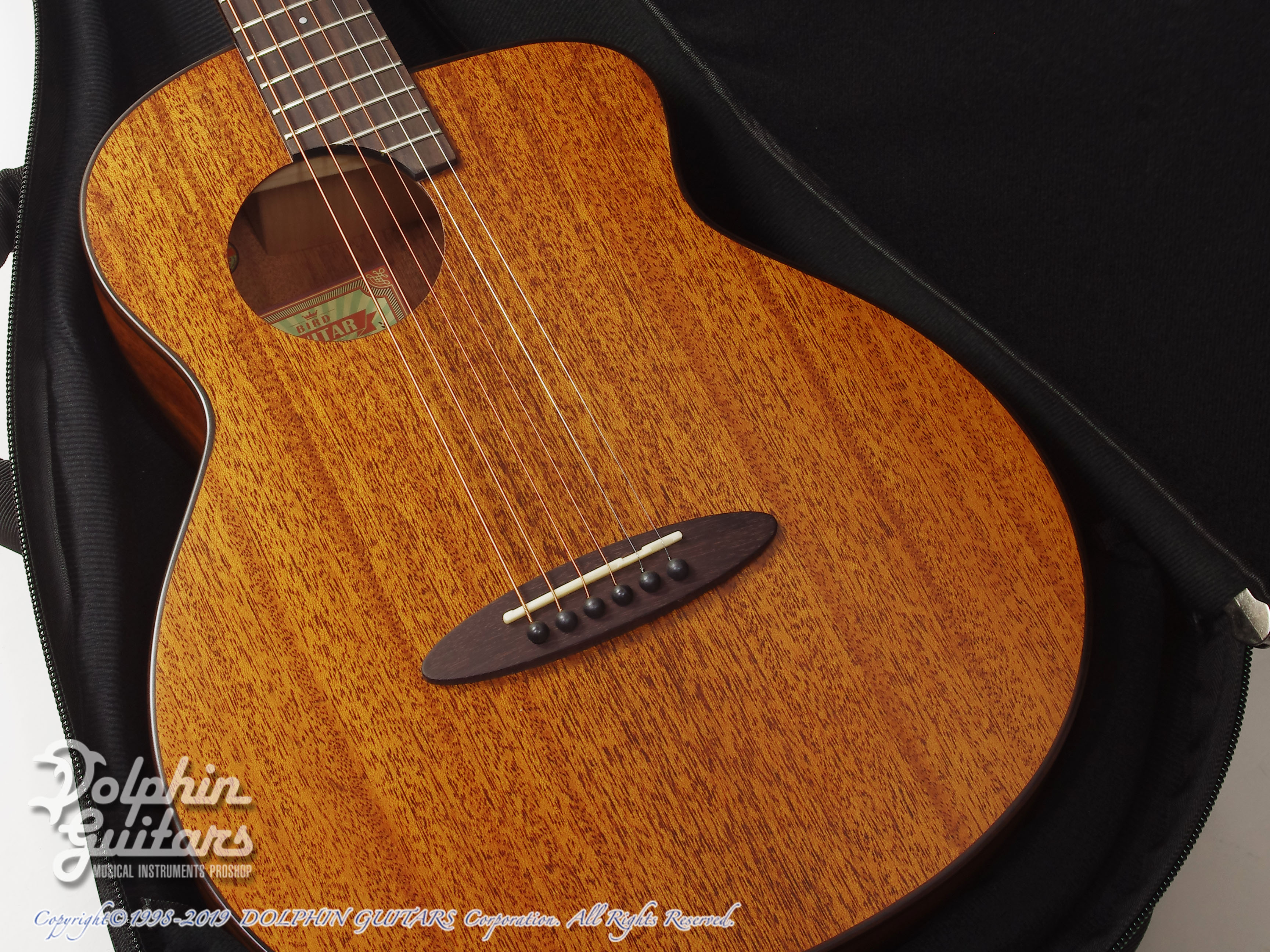 aNueNue Bird aNN-M20 (All Mahogany)|ドルフィンギターズ