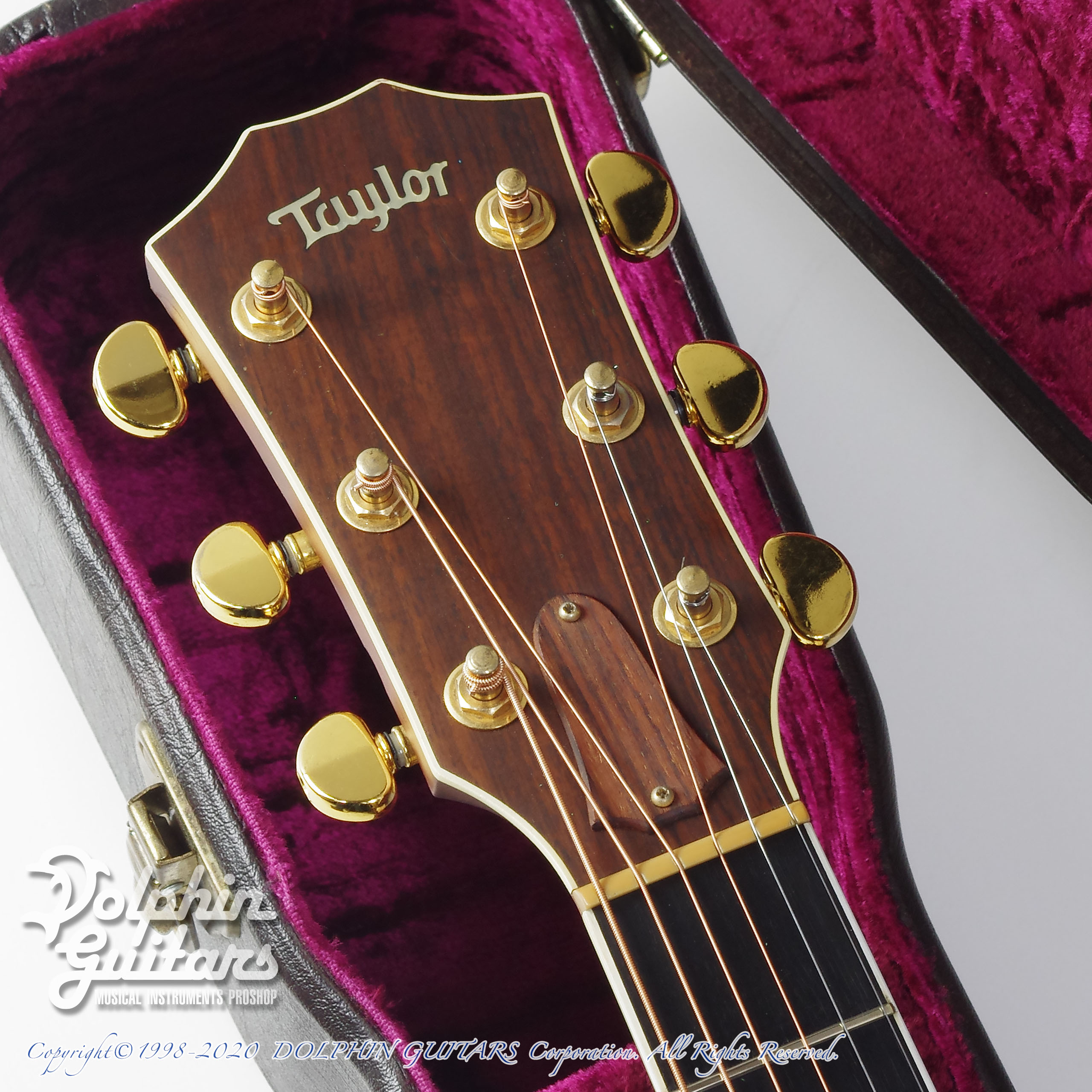 TAYLOR 815C|ドルフィンギターズ