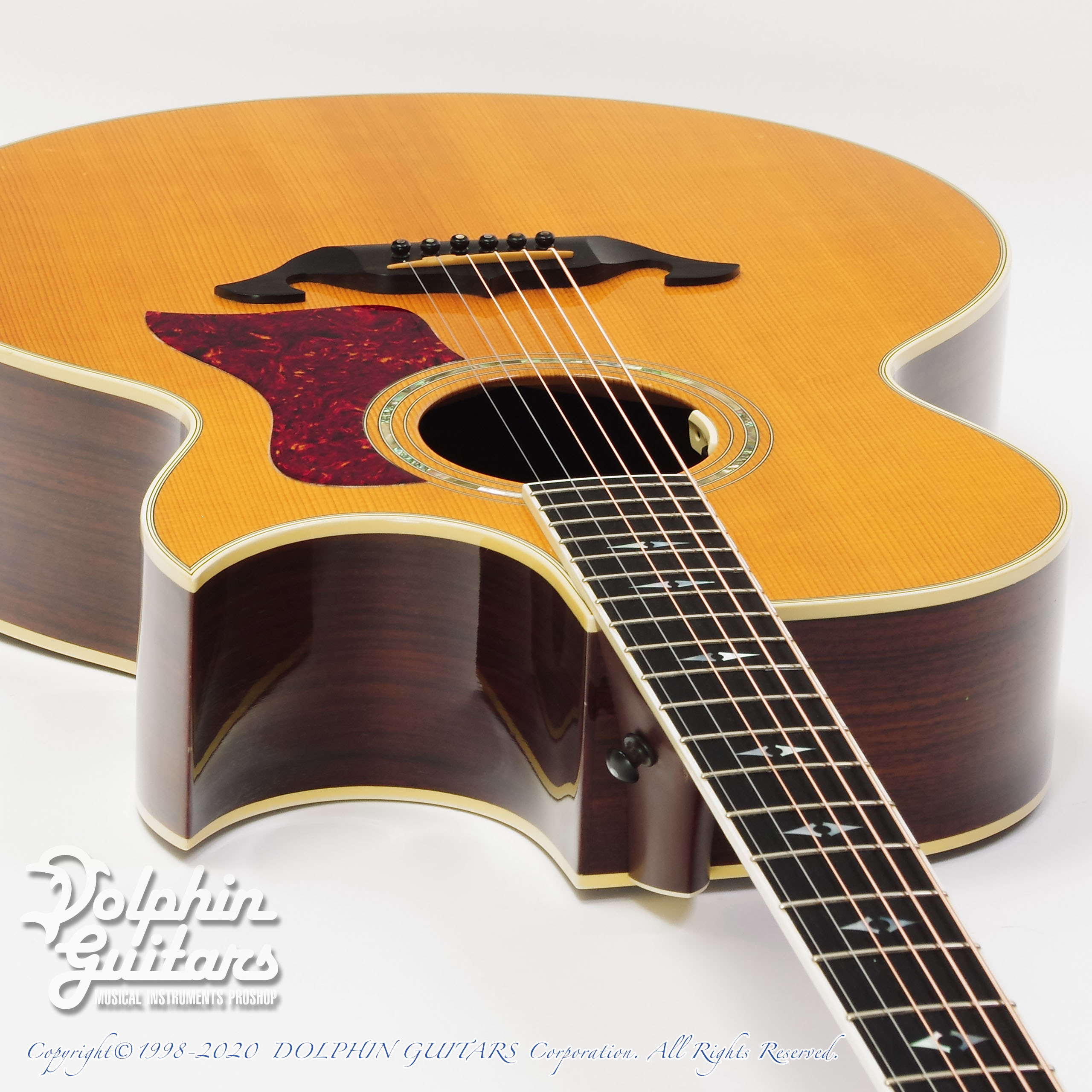 TAYLOR 815C|ドルフィンギターズ