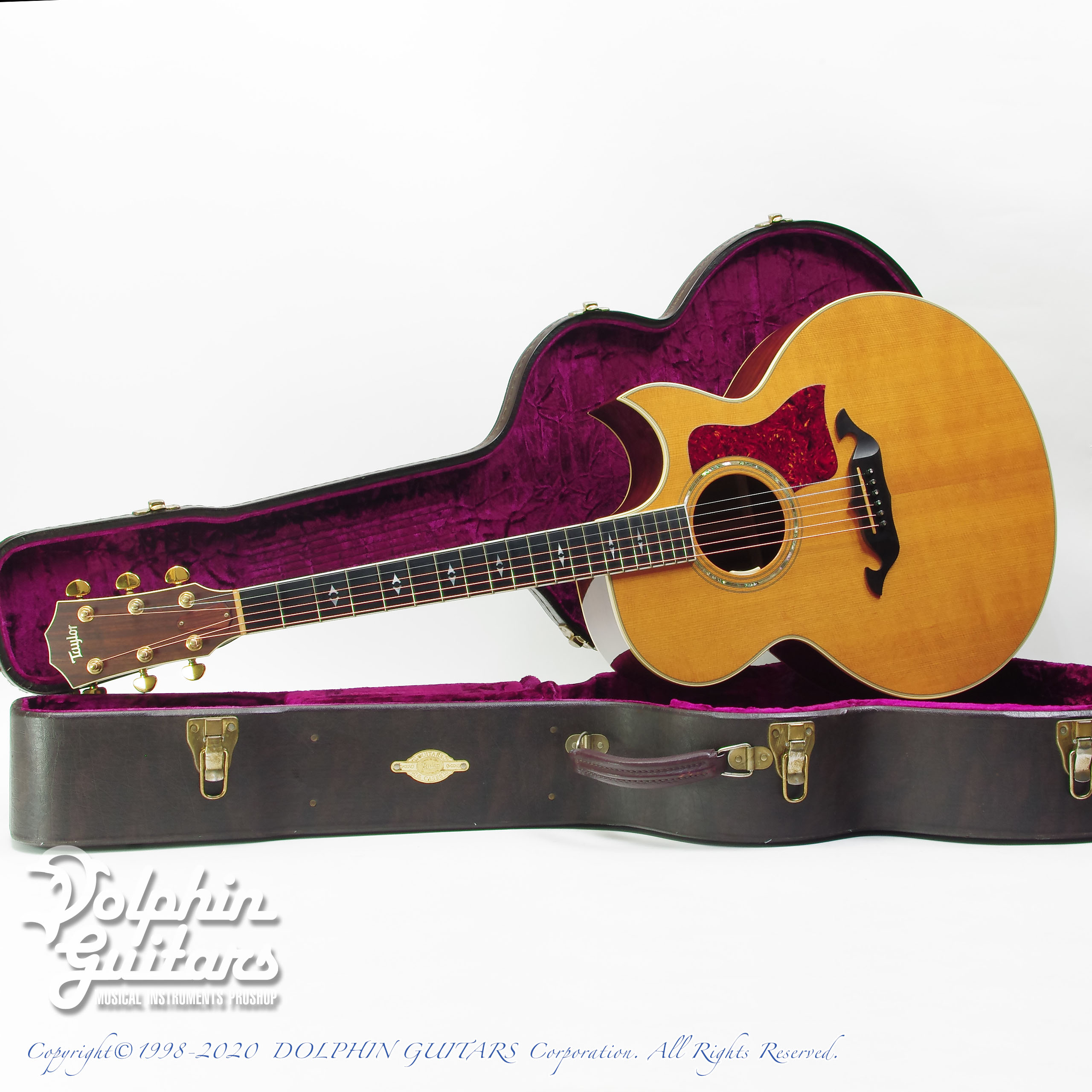 TAYLOR 815C|ドルフィンギターズ